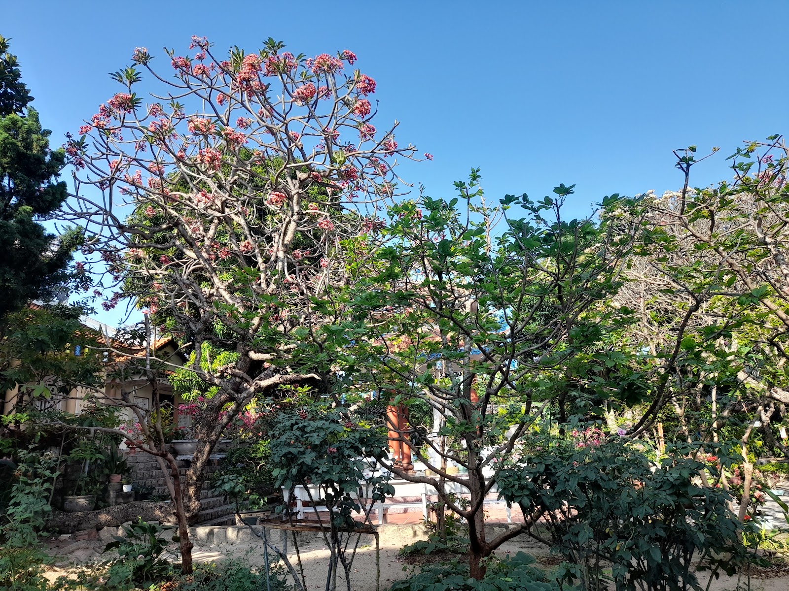 An Tường