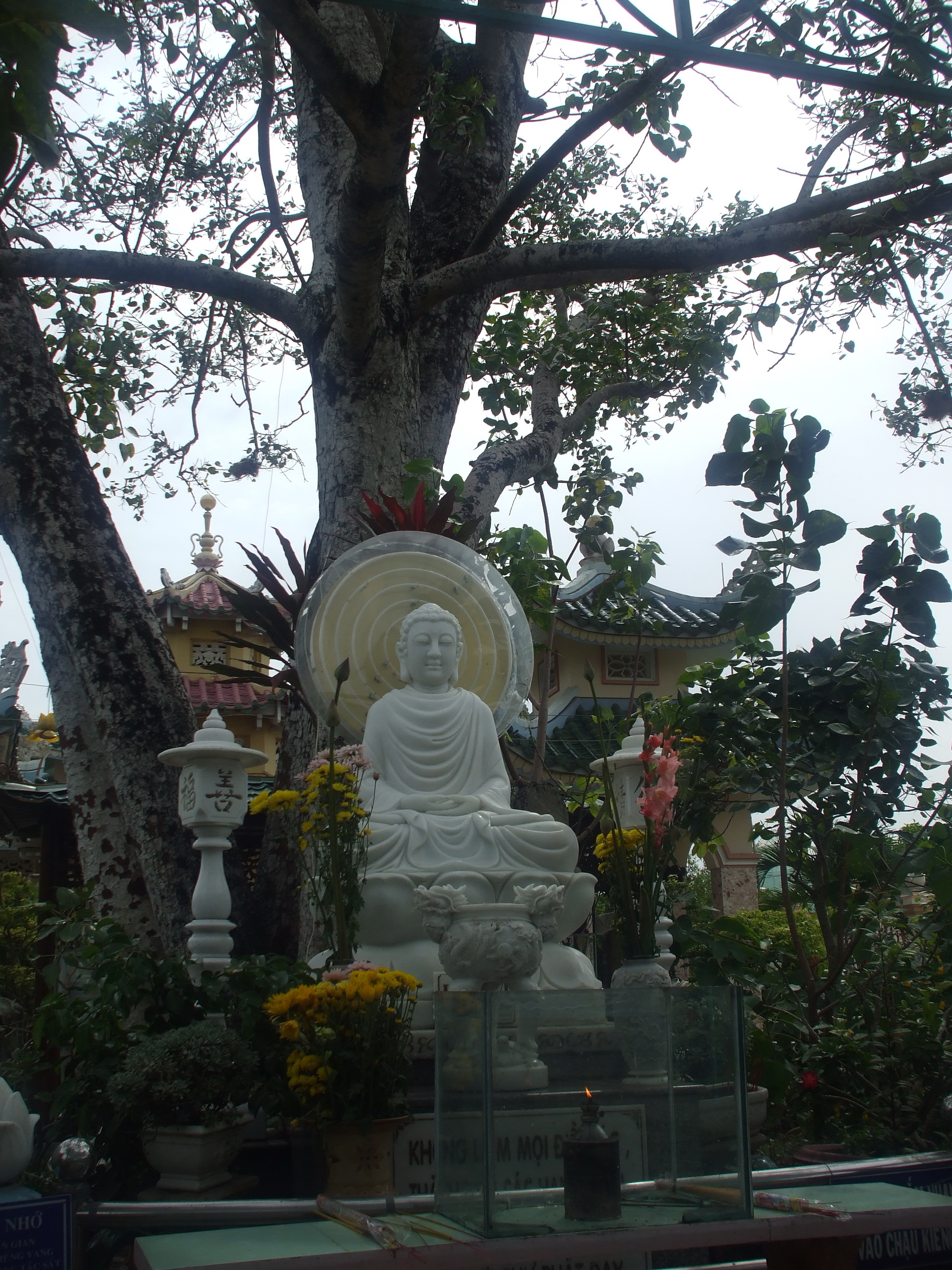 Bồ Đề Đạo Tràng