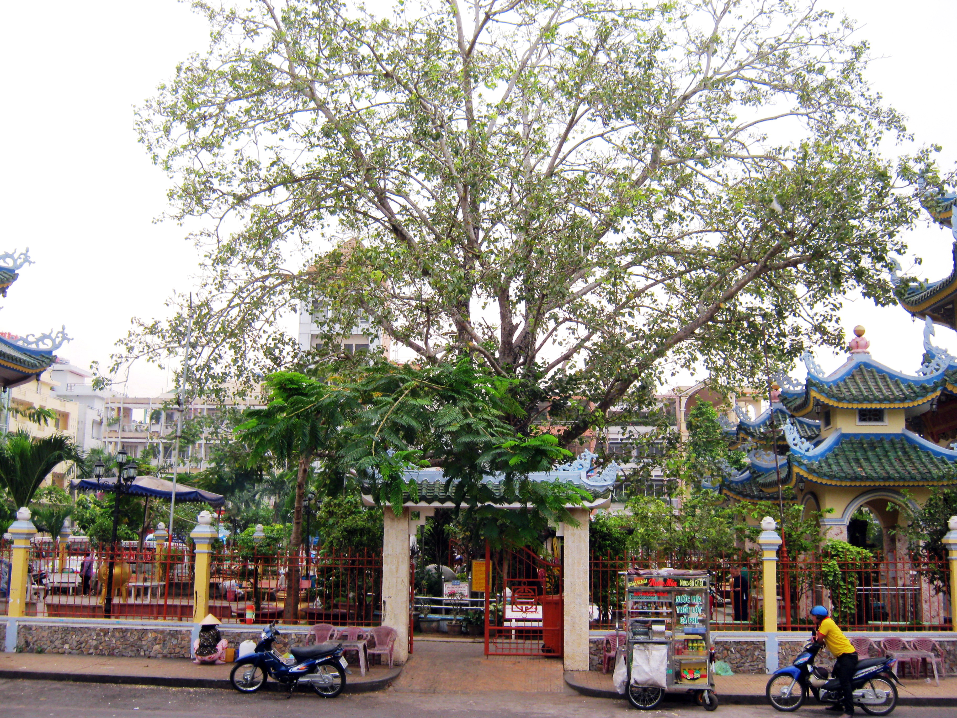 Bồ Đề Đạo Tràng