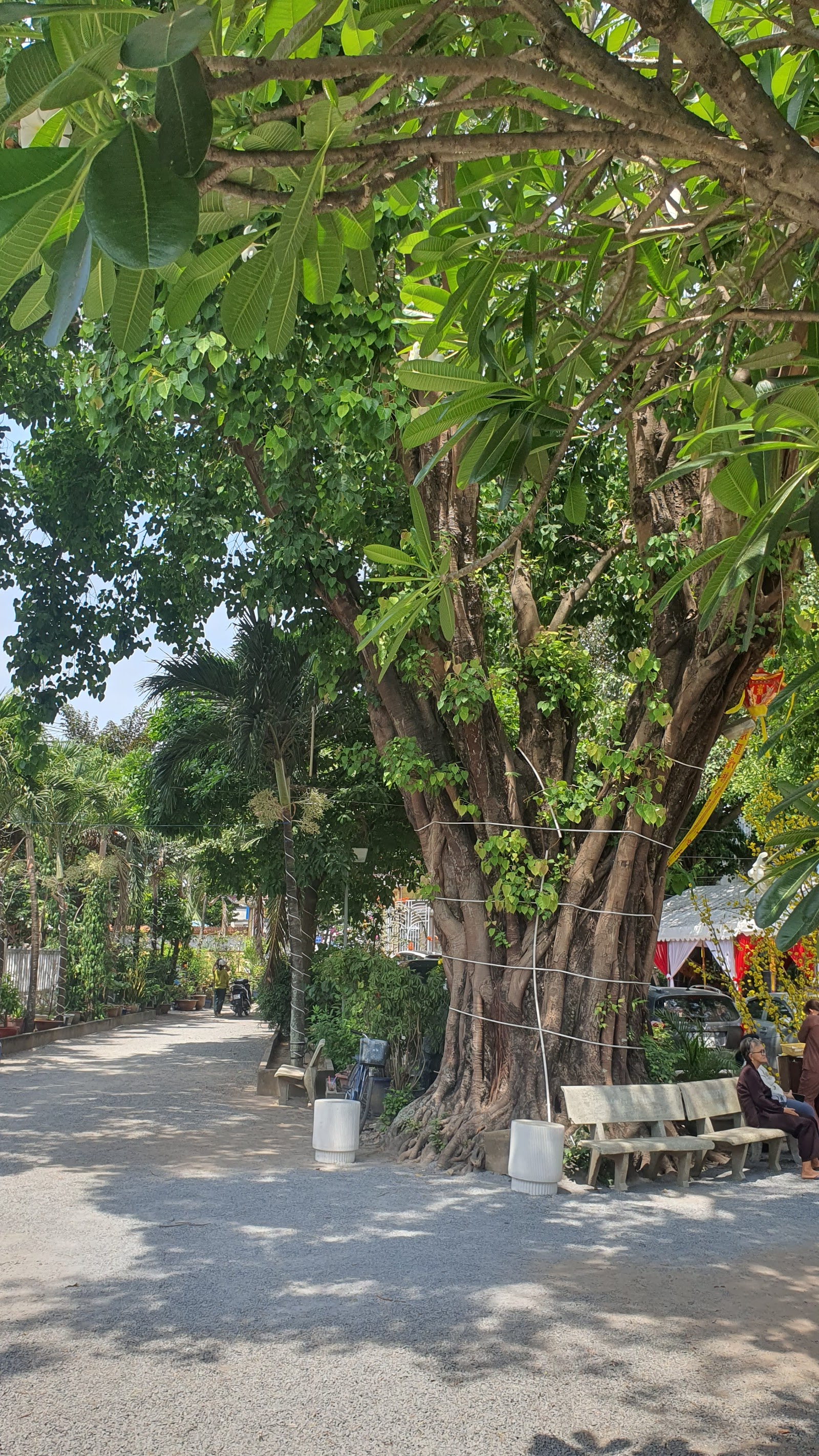 Chùa Bùi Bửu