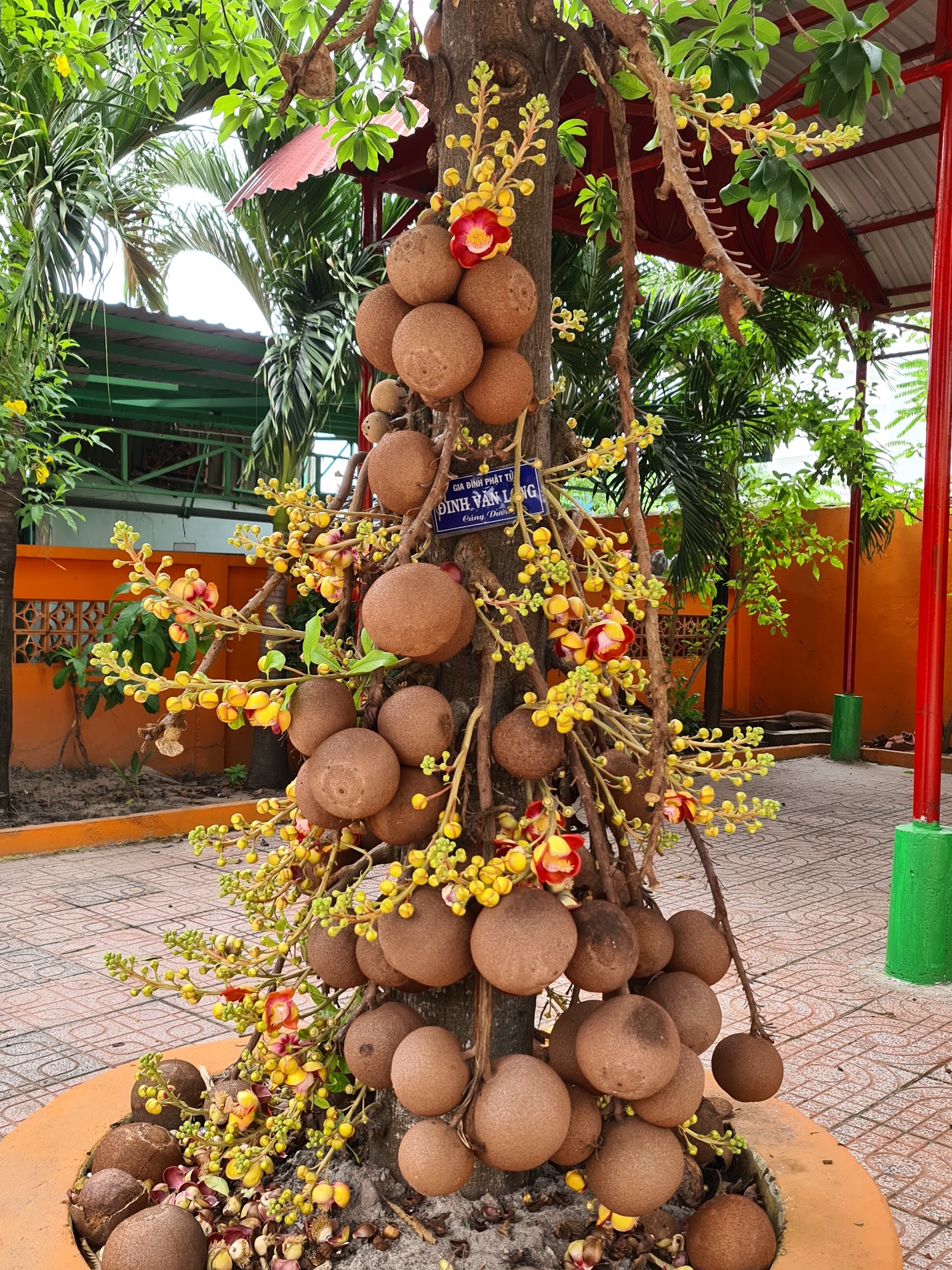 Chùa Bửu Thành