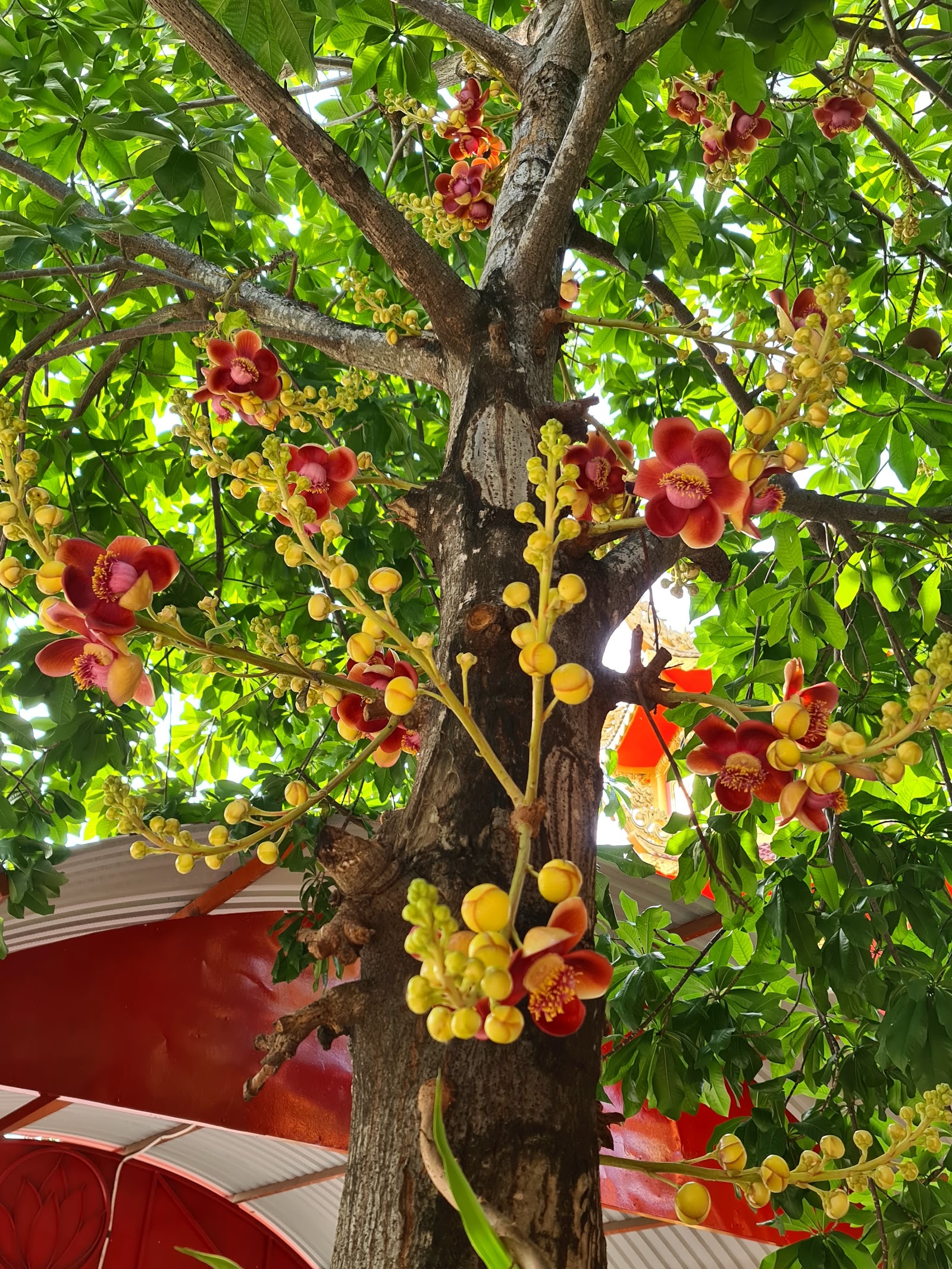 Chùa Bửu Thành