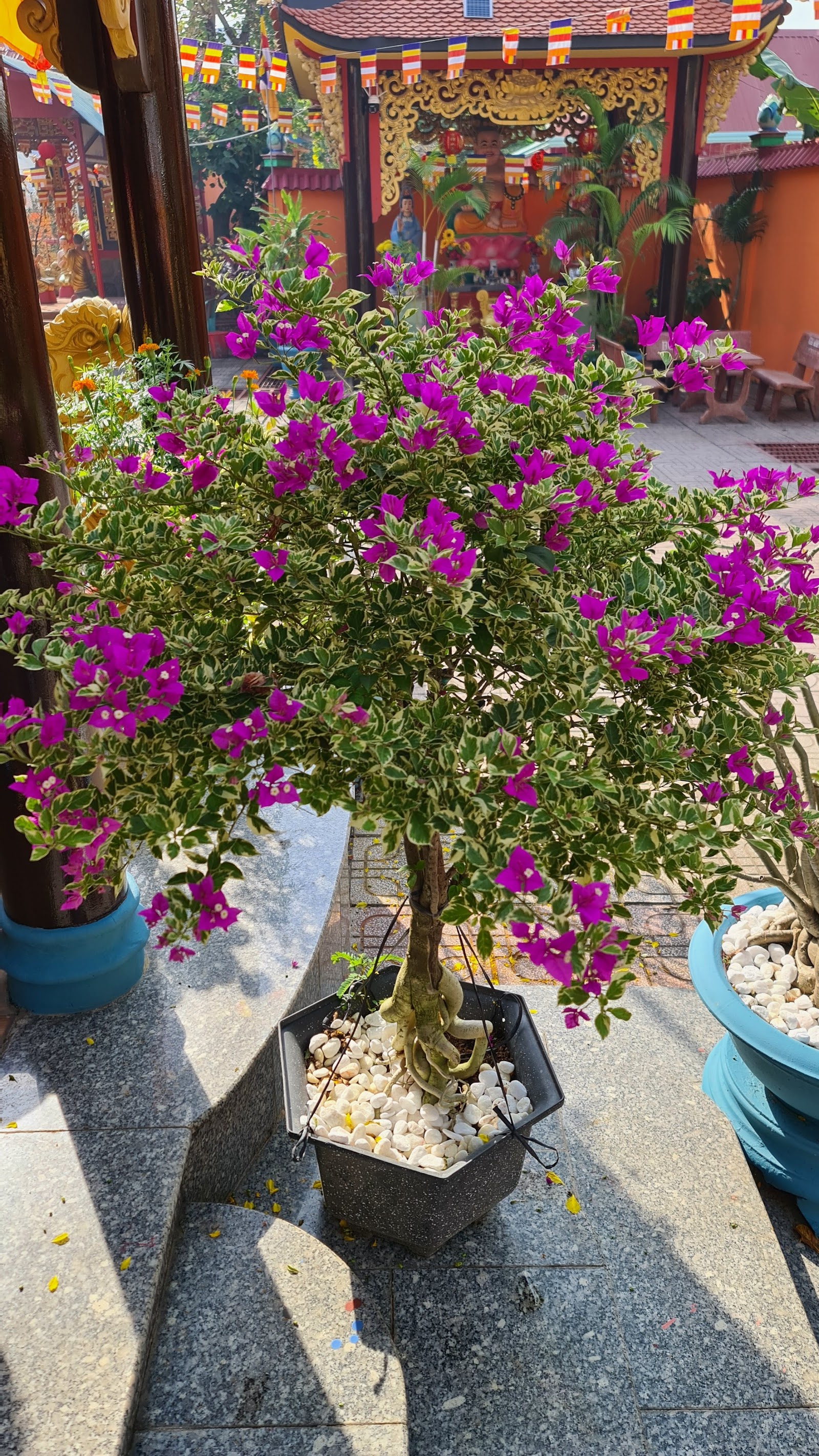 Chùa Bửu Thành