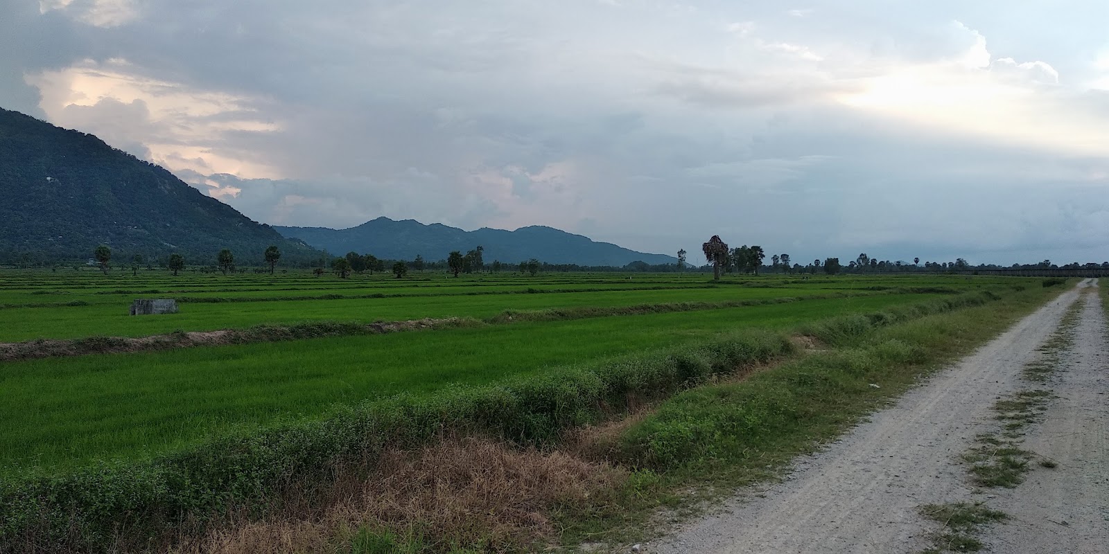Chùa Cây Đuốc