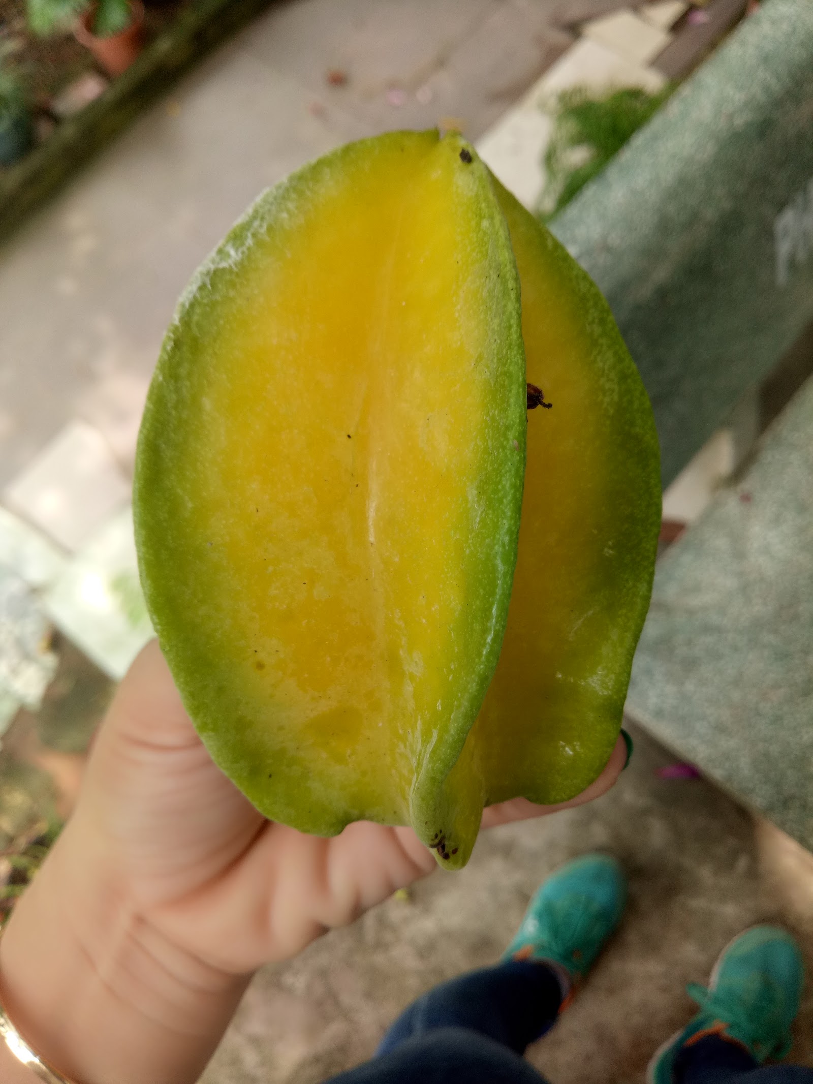 Chùa Diệu Âm