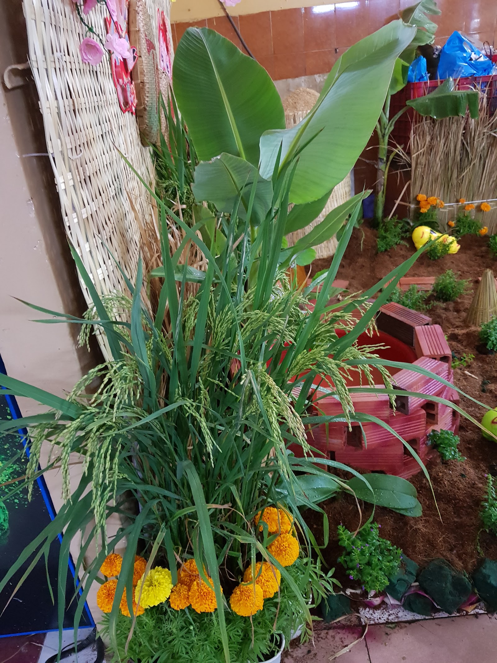 Chùa Hải Tuệ