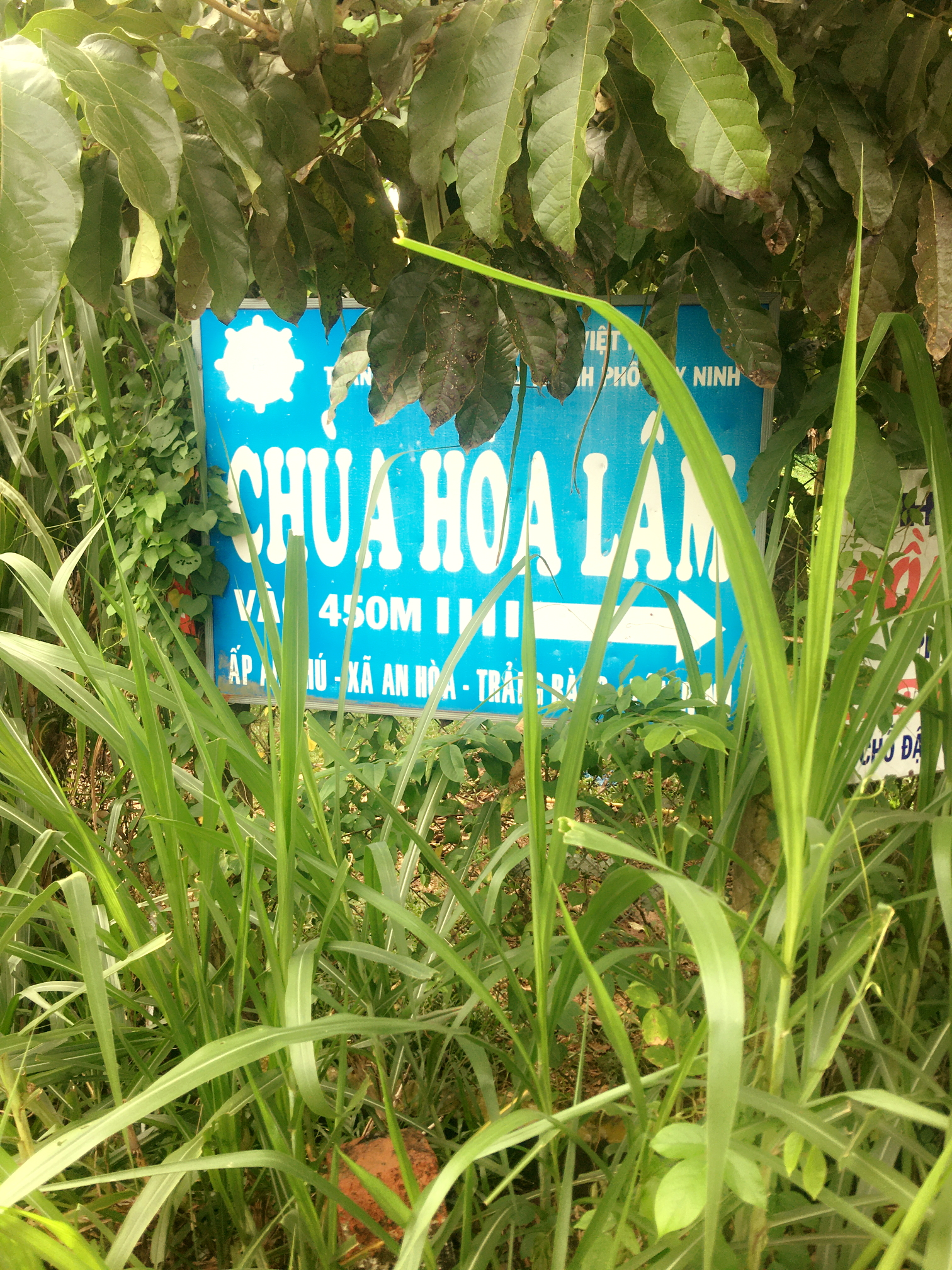 Chùa Hòa Lâm