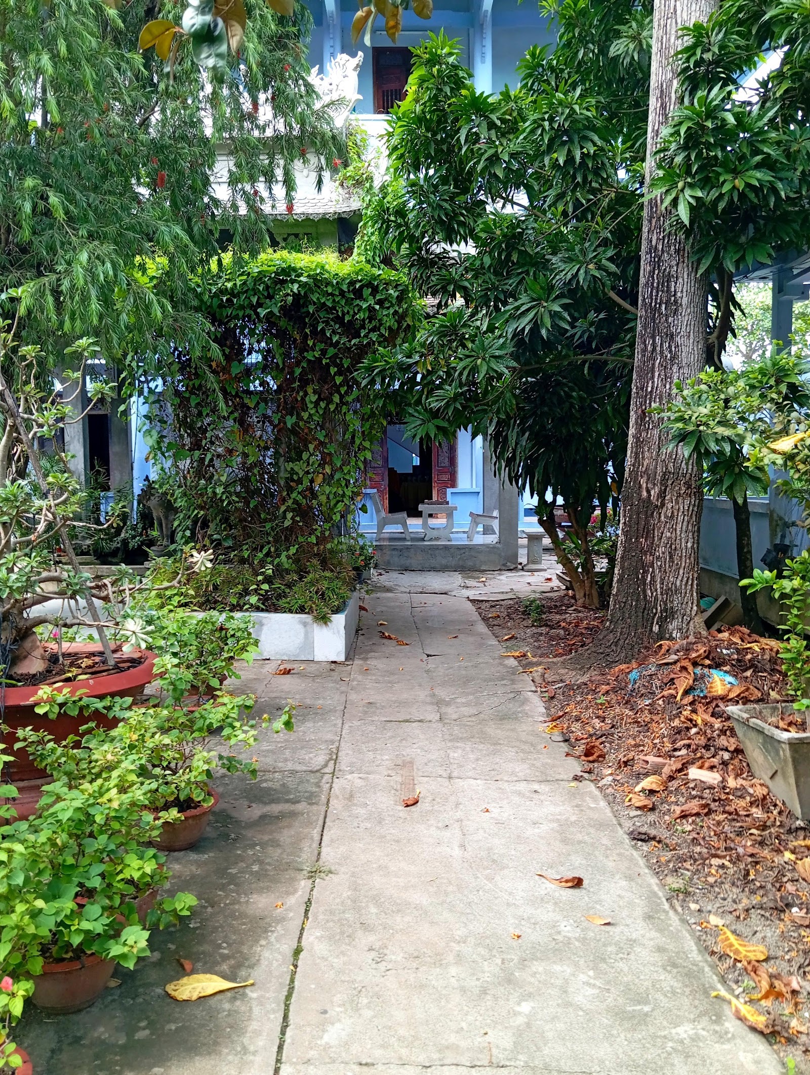 Chùa Hội Long
