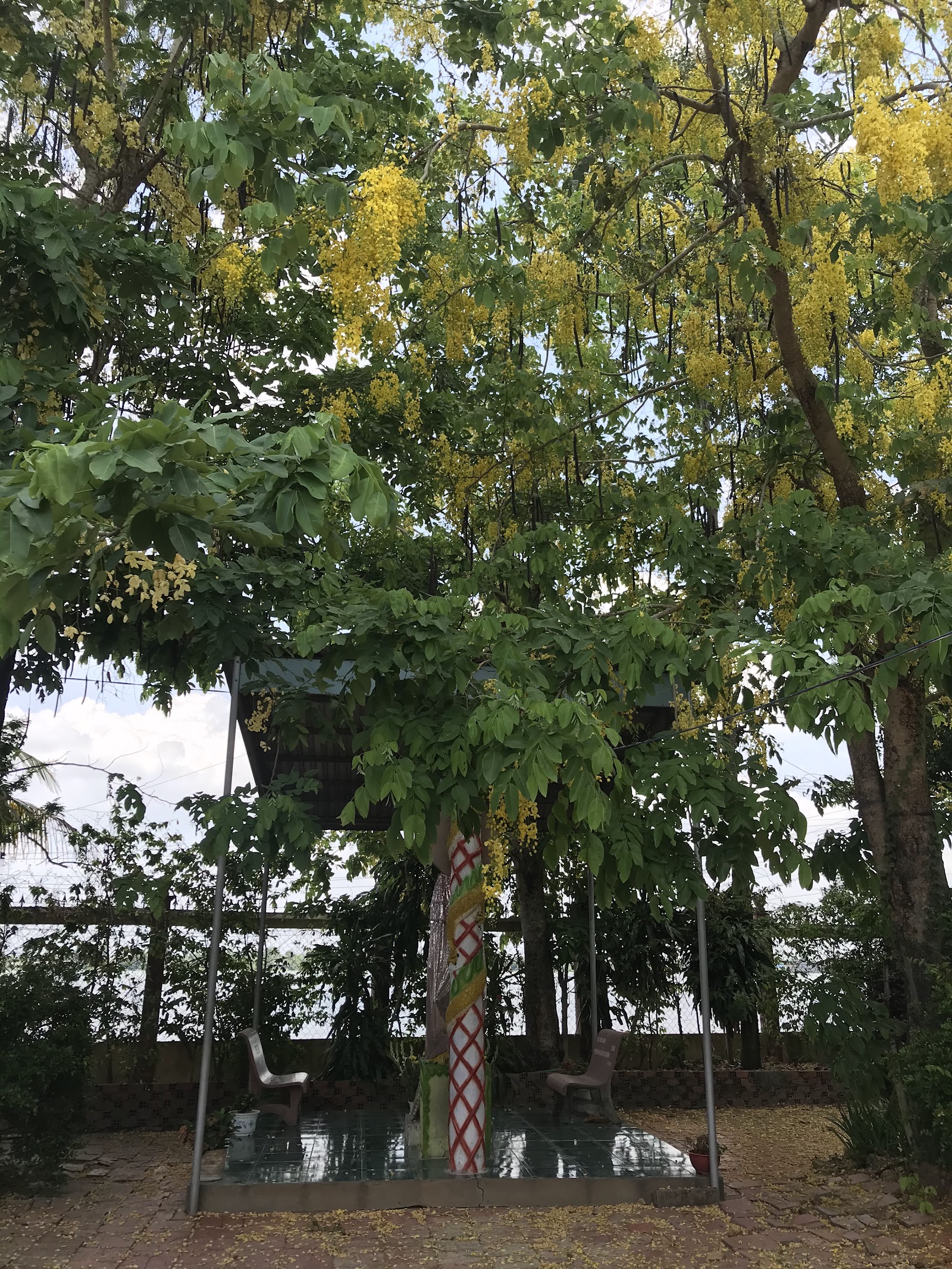 Chùa Hội Phước