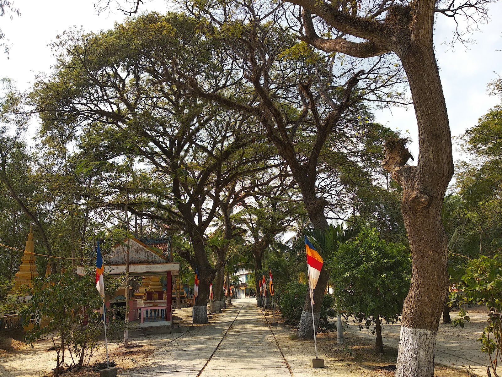 វត្តប្រជុំមជ្ឈិមគិរីរាម ហៅក្រាំងក្រូច - Chùa Krăng Krốch (chùa hàng cồng )