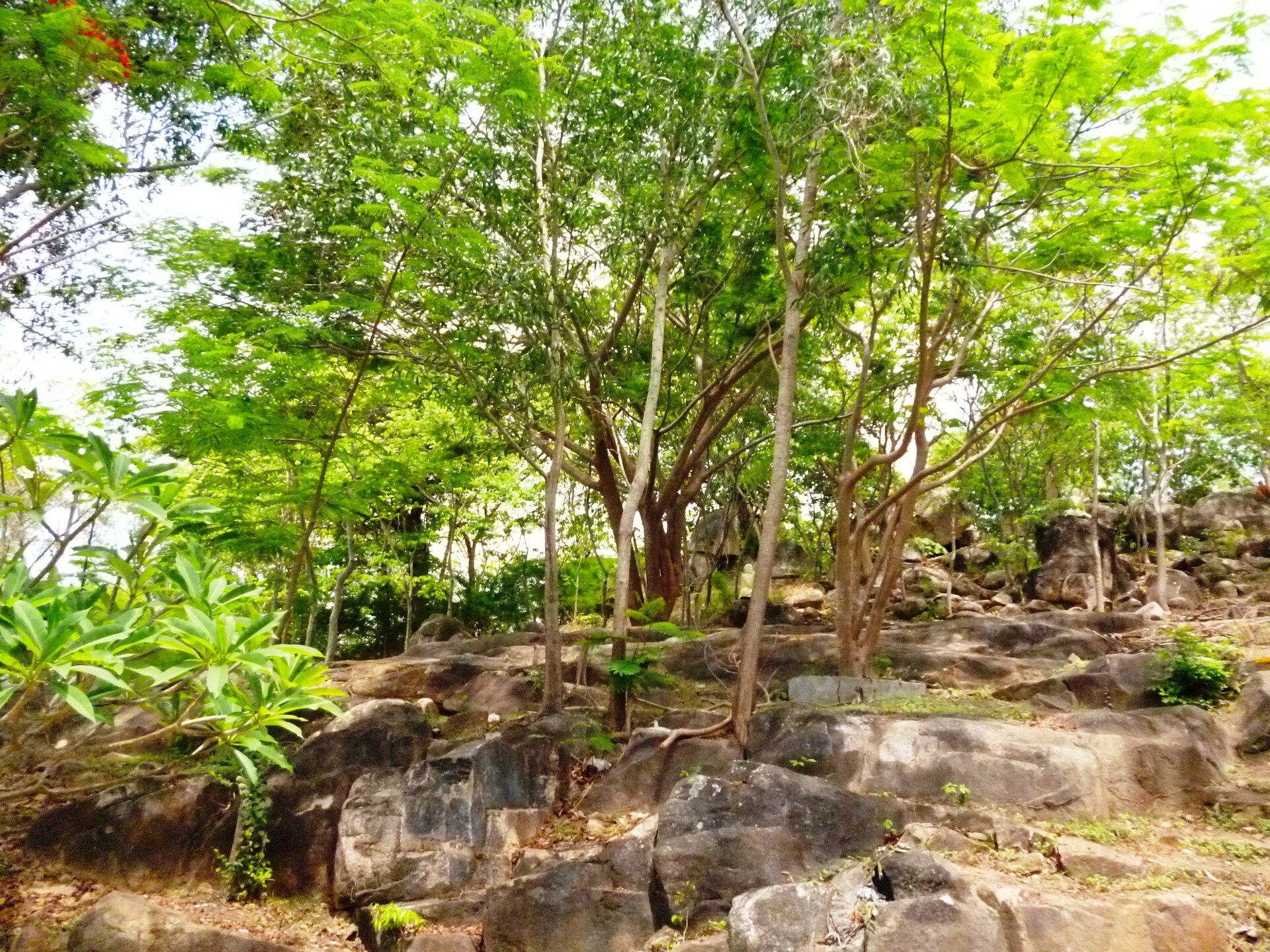 Chùa Thiền Lâm Tự, Vũng Tàu (vườn lộc uyển), ngày 19 tháng 5 năm 2014 (12)