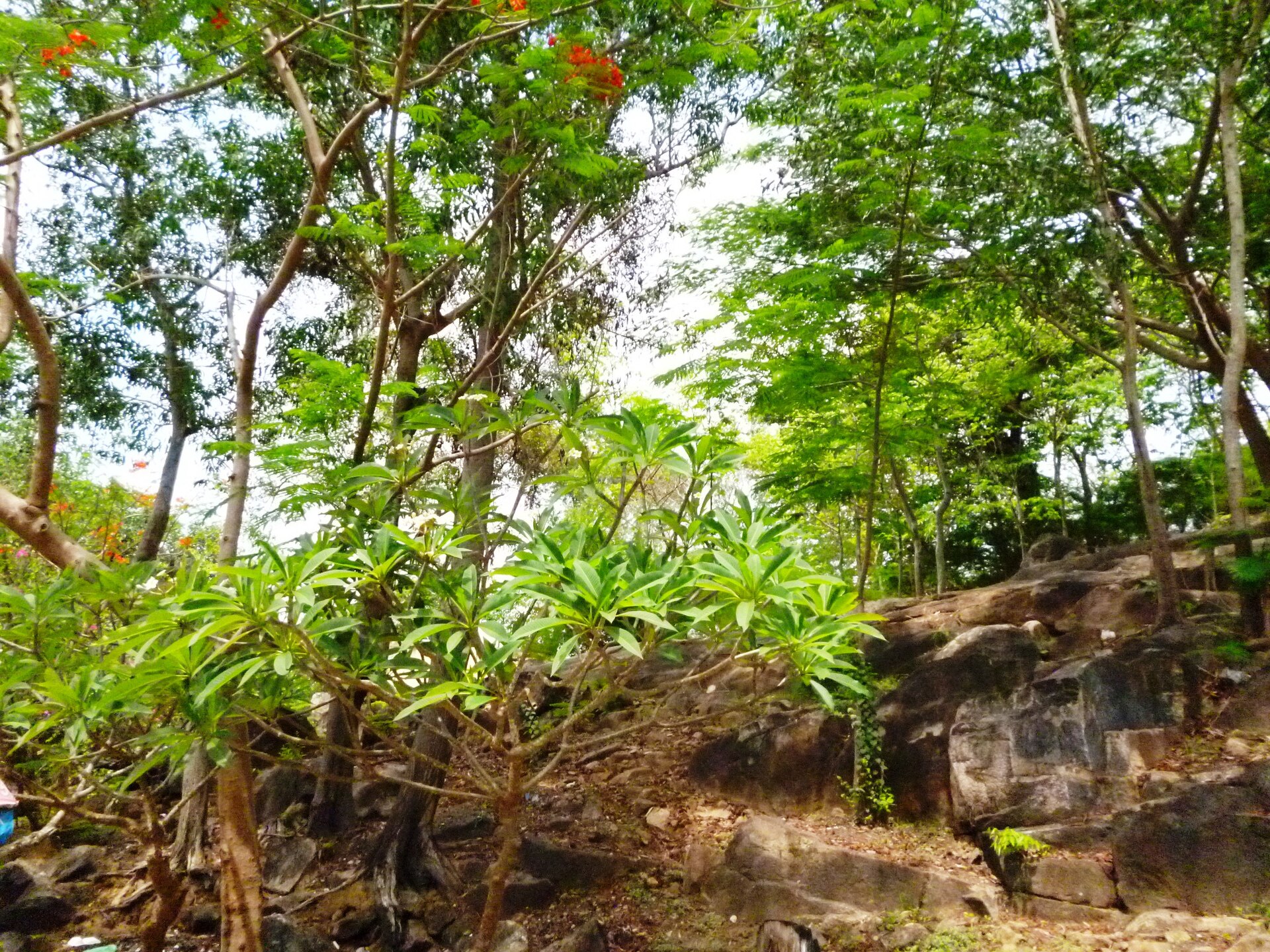 Chùa Thiền Lâm Tự, Vũng Tàu (vườn lộc uyển), ngày 19 tháng 5 năm 2014 (13)