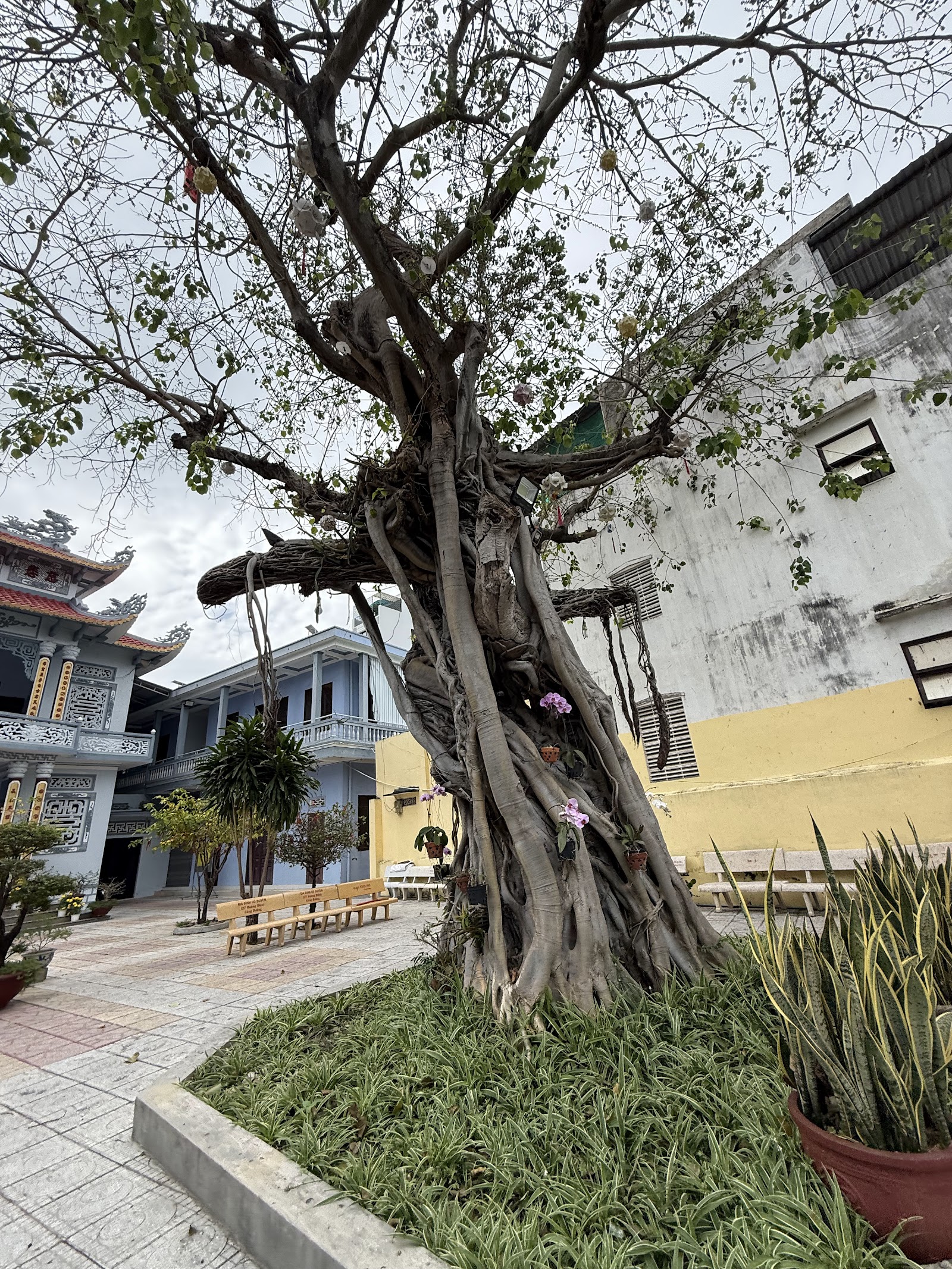 Nghĩa Minh Ni Tự