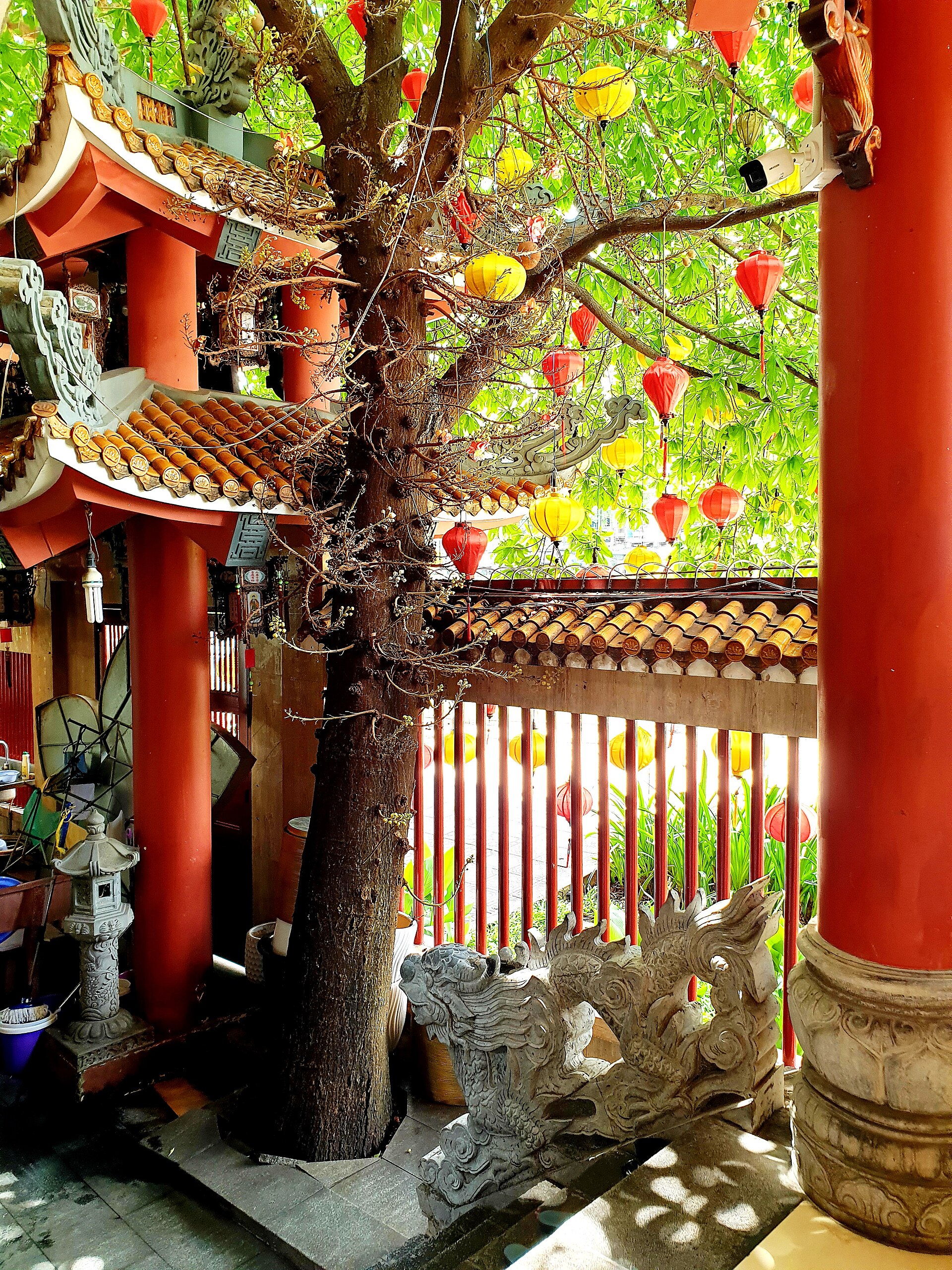Chùa Pháp Hoa (Quang cảnh chùa Pháp Hoa) (9)