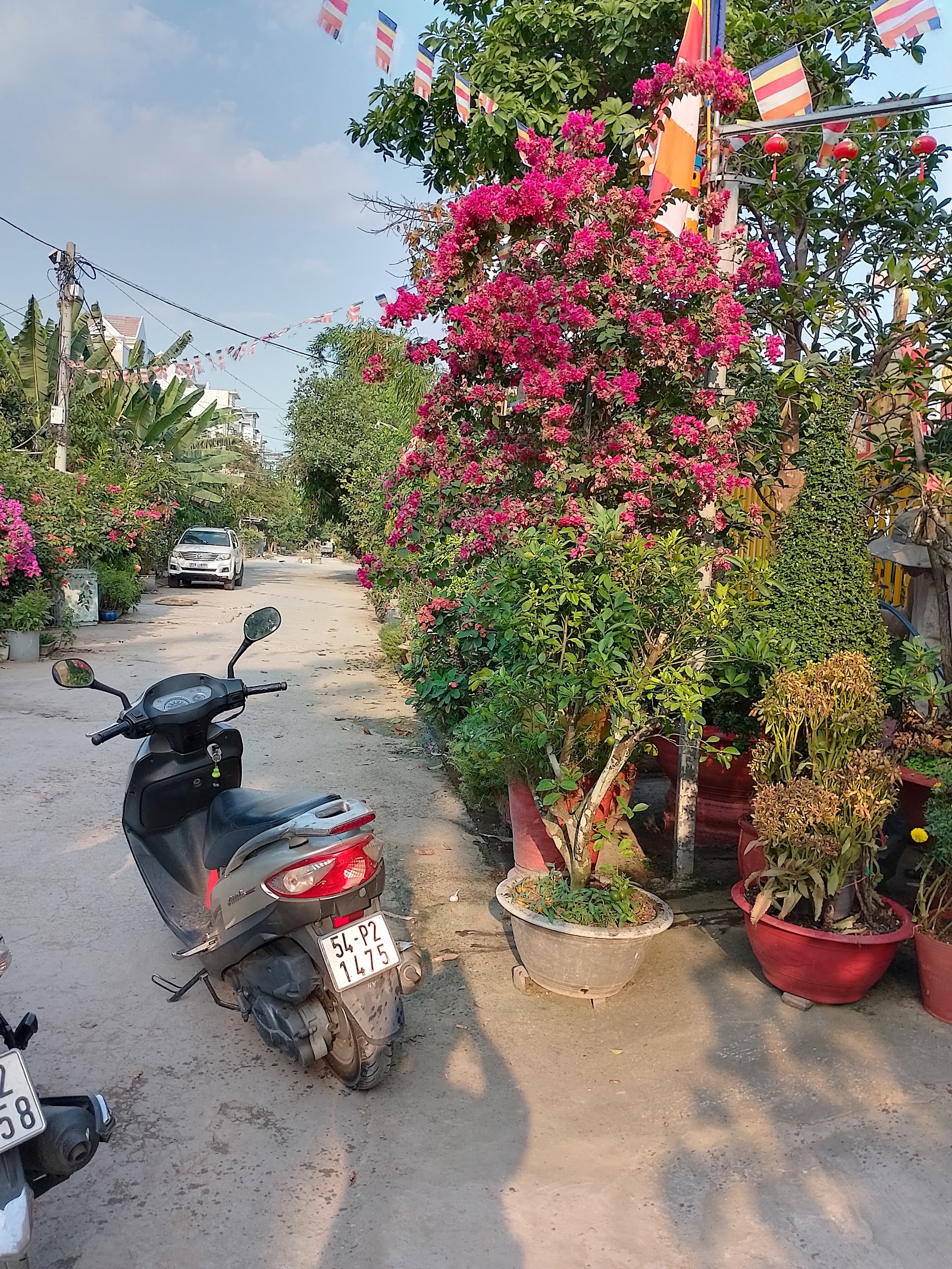 CHÙA PHÁP TRUYỀN