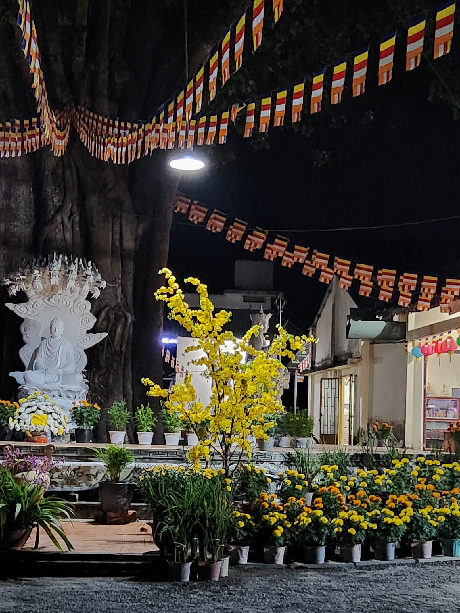 Chùa Phổ Phước