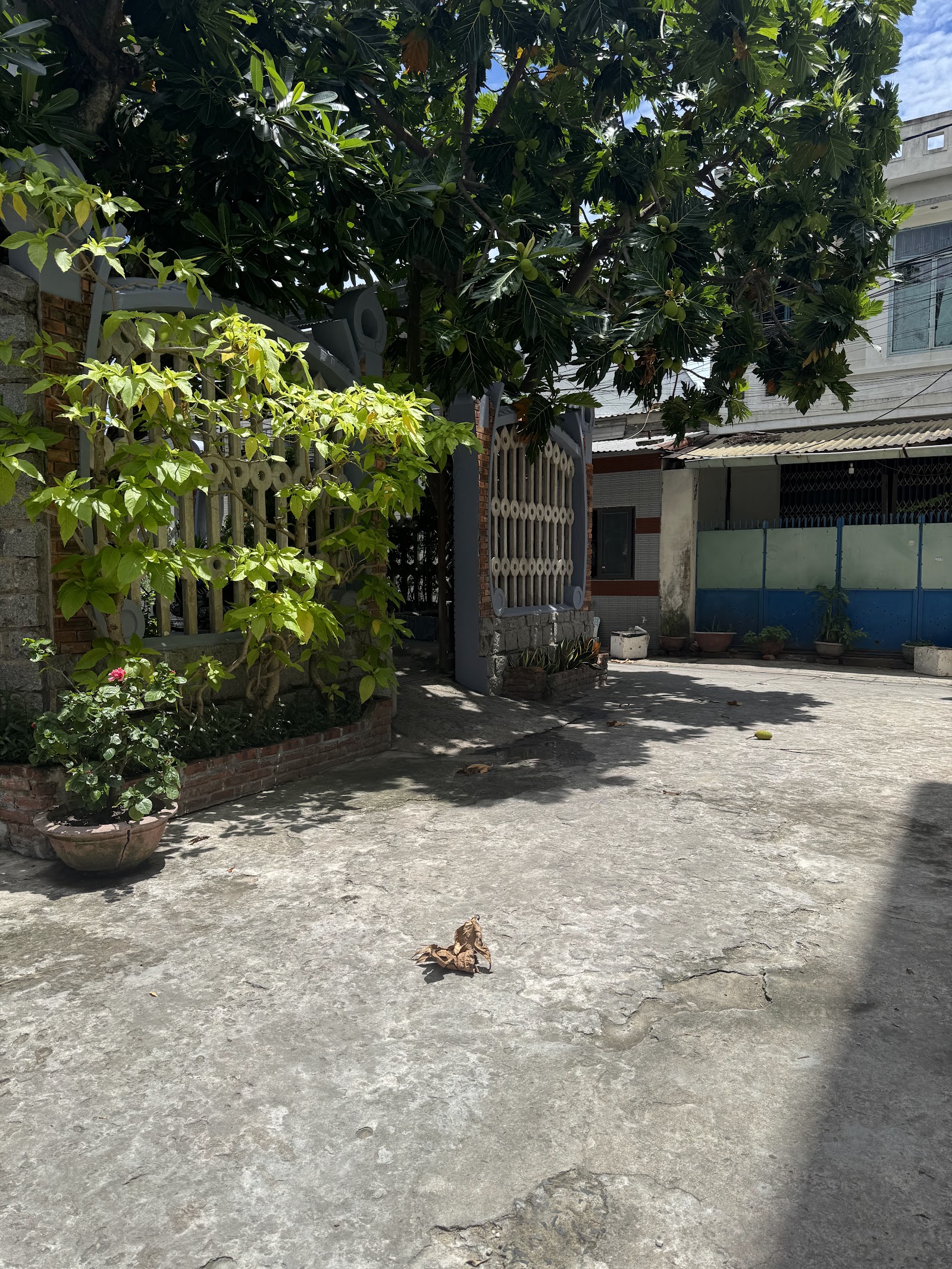 Chùa Phục Đán