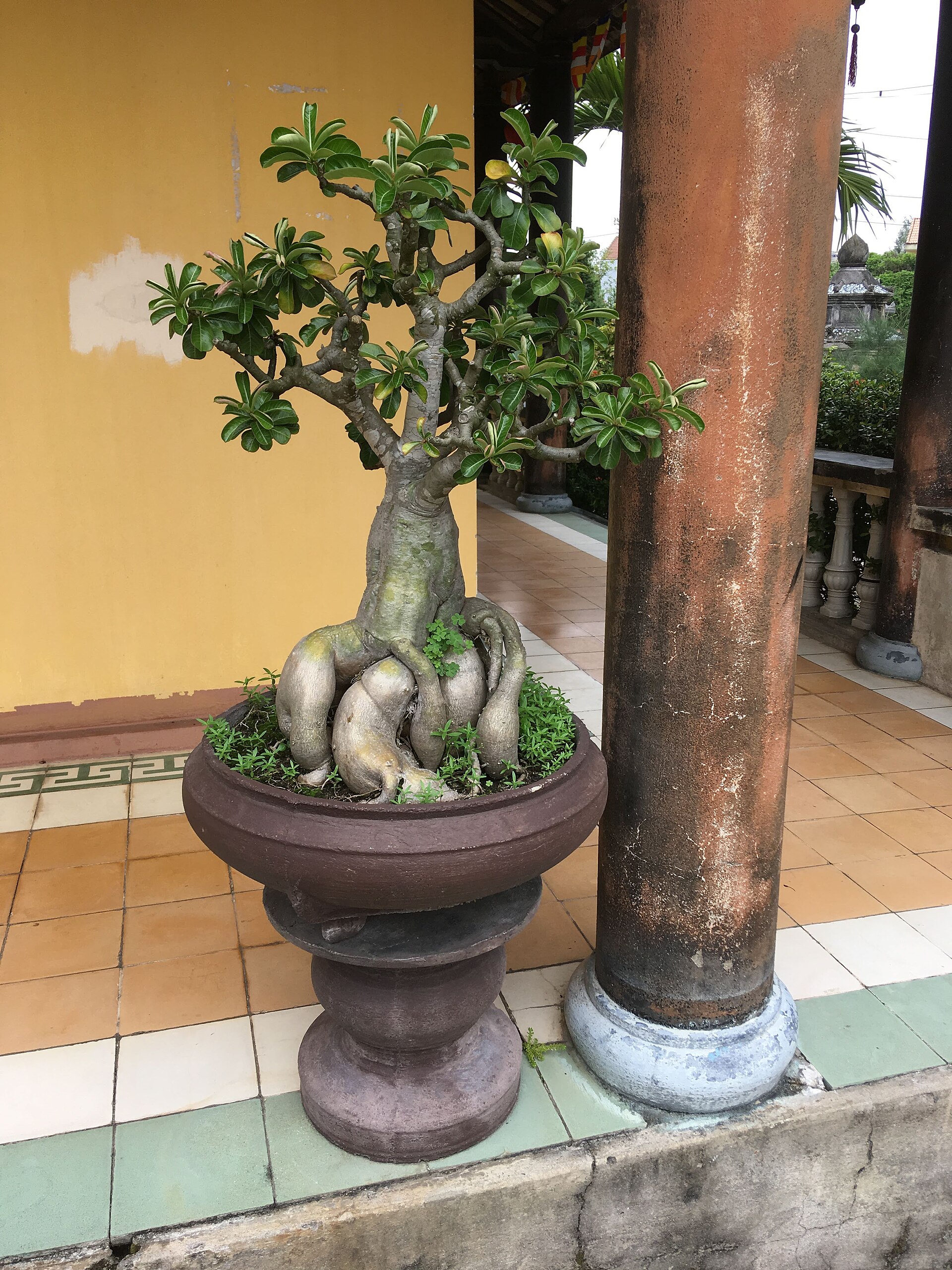Phuoc Lam Pagoda 5