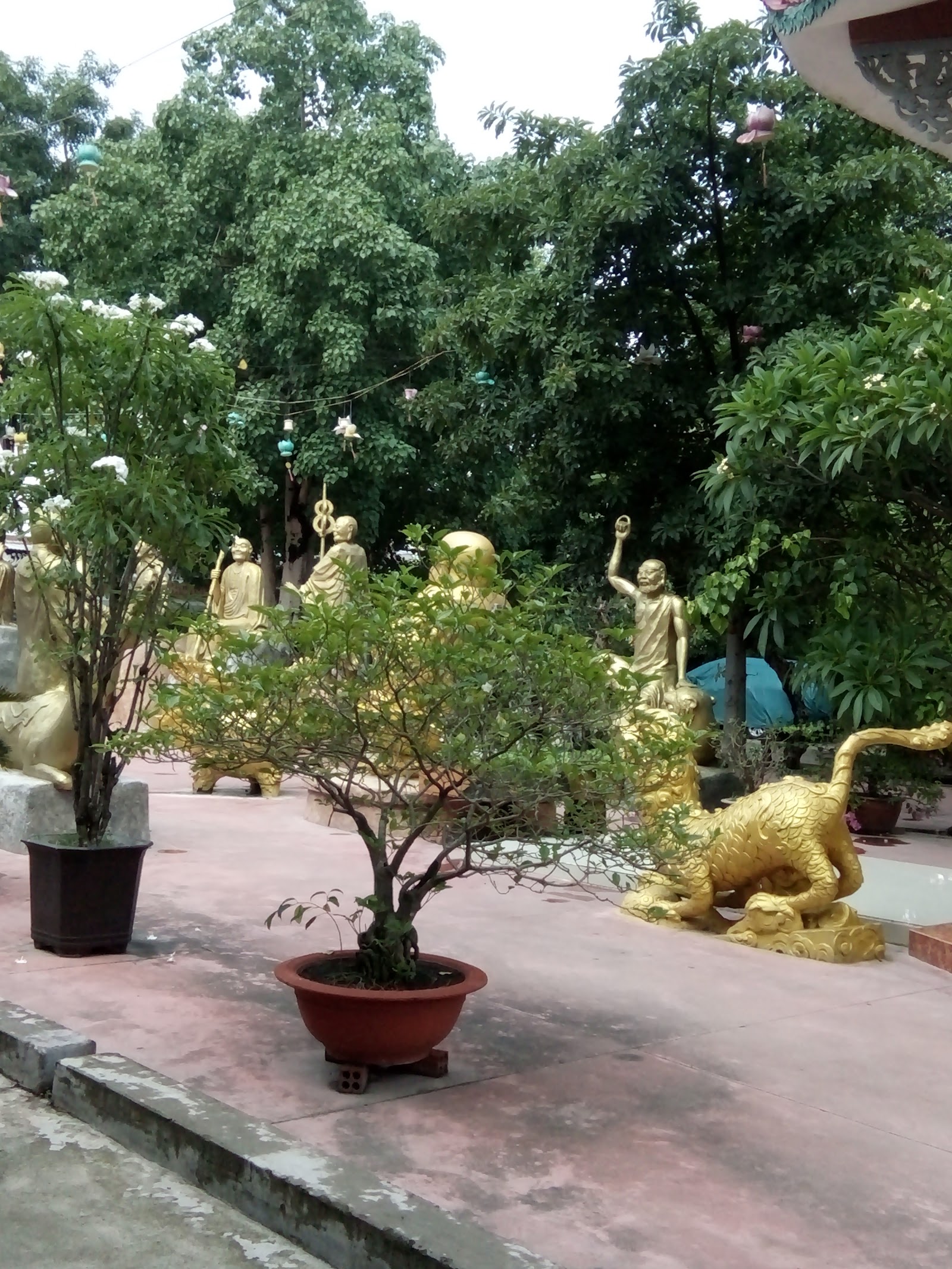 Chùa Tân Hòa
