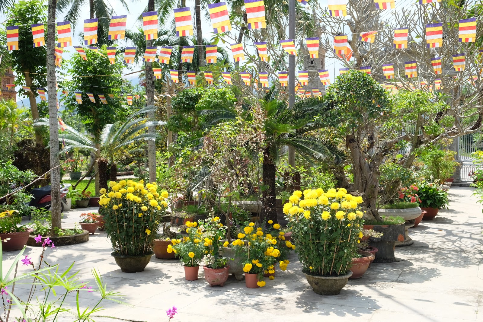 Chùa Tân Long