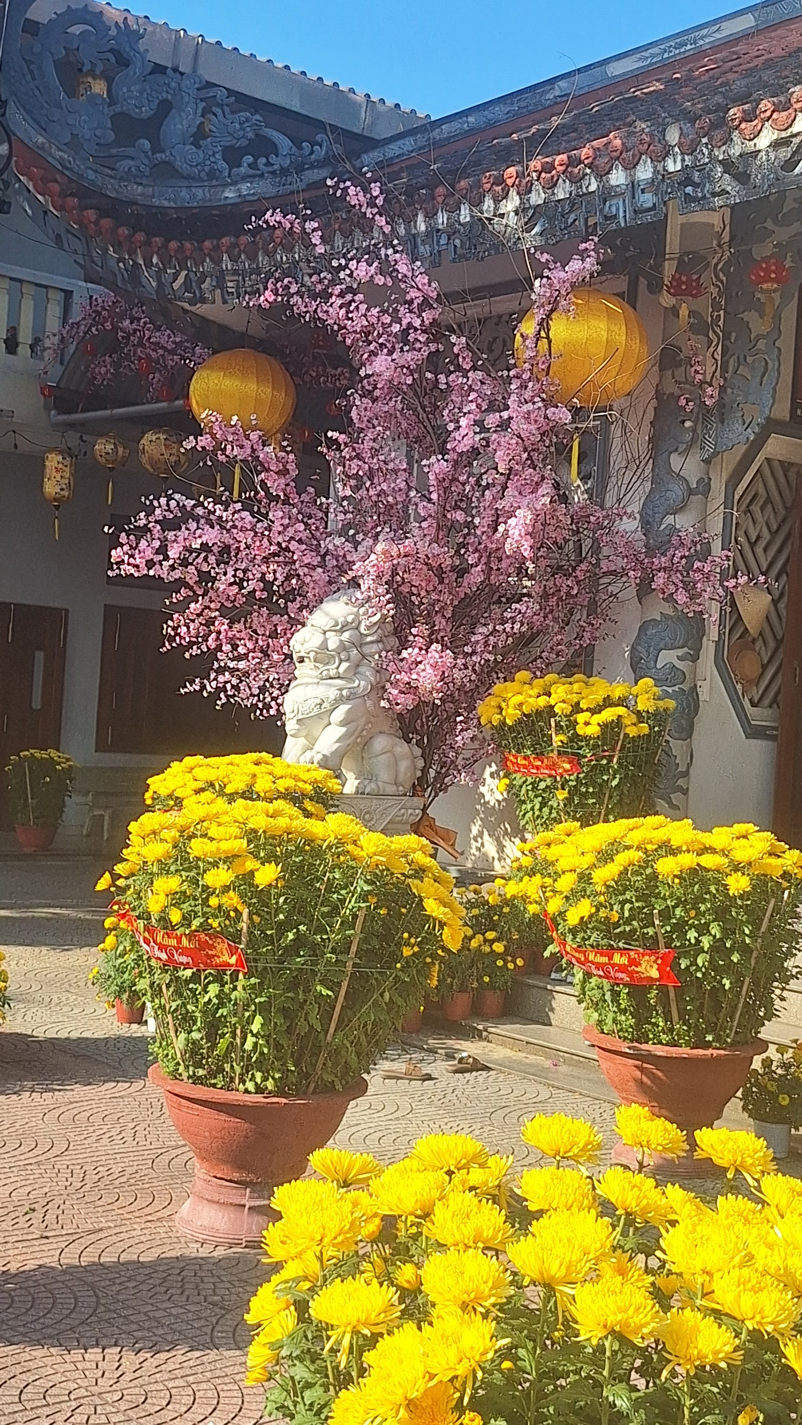 Chùa Tân Thái