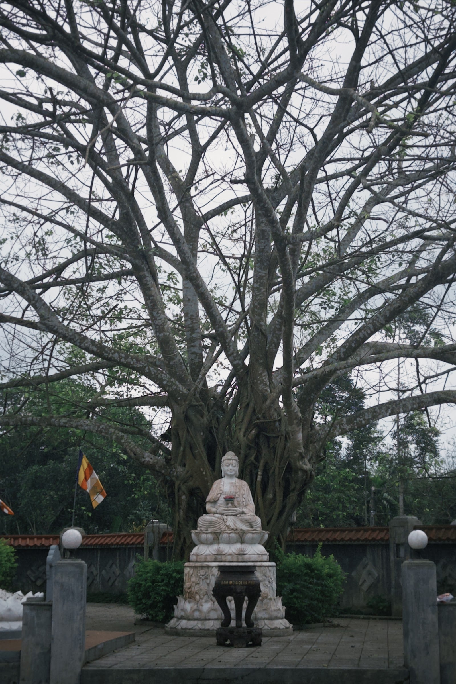 Chùa Tổ Tây Thiên