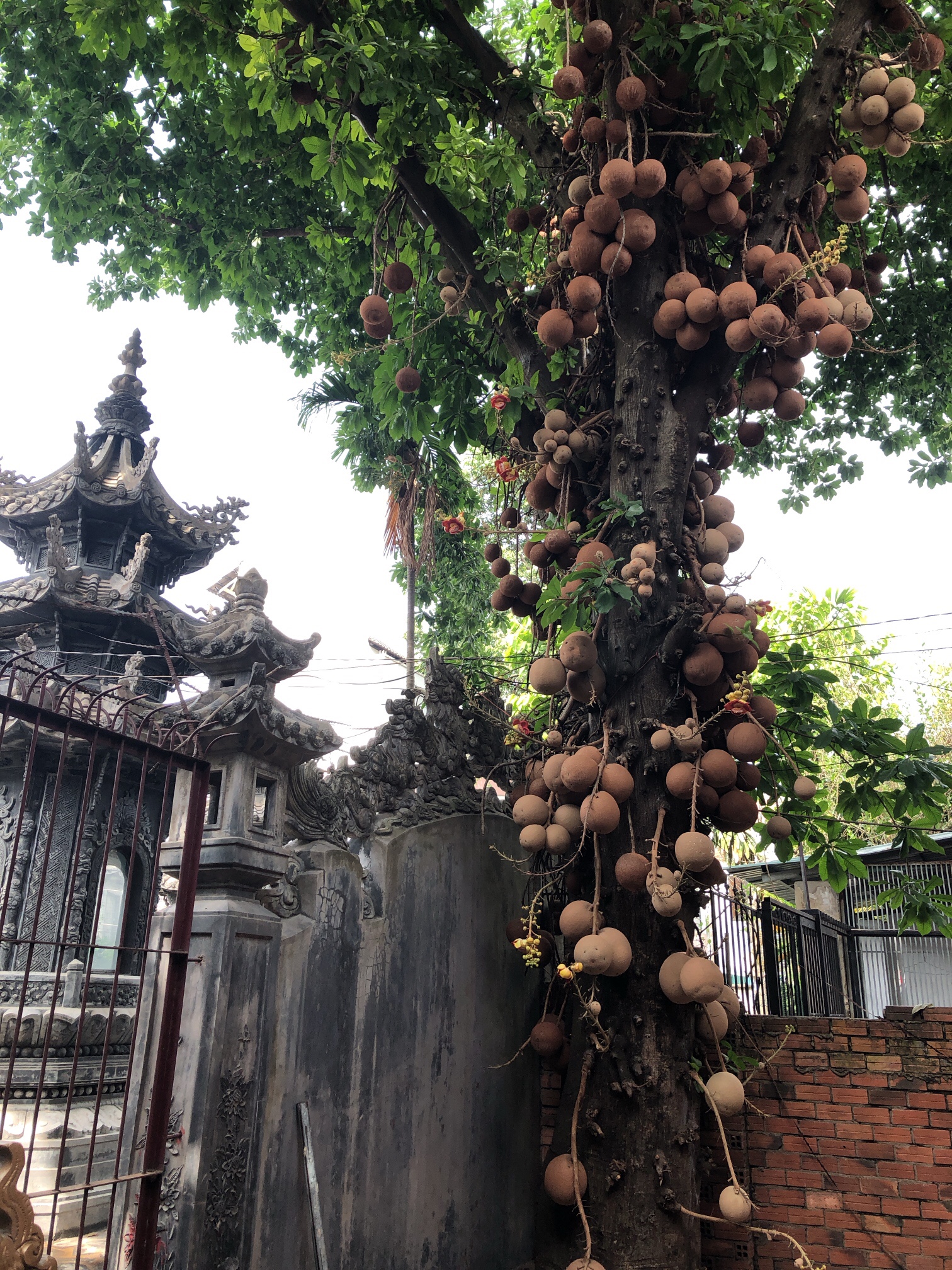 Chùa Thái Nguyên - Thai Nguyen Pagoda (Viet Nam Temple)