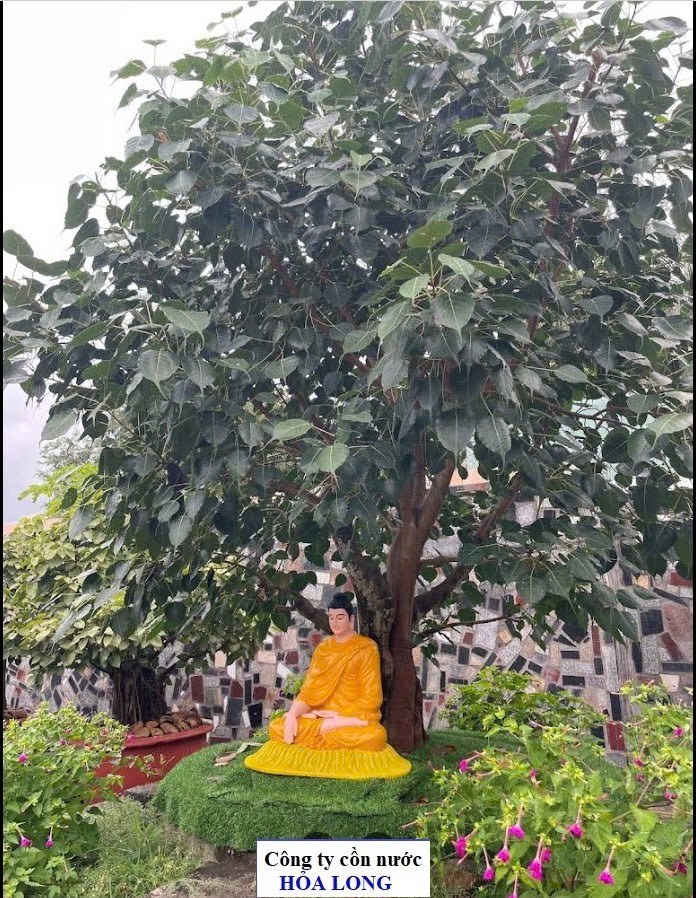 Chùa Thạnh Phước
