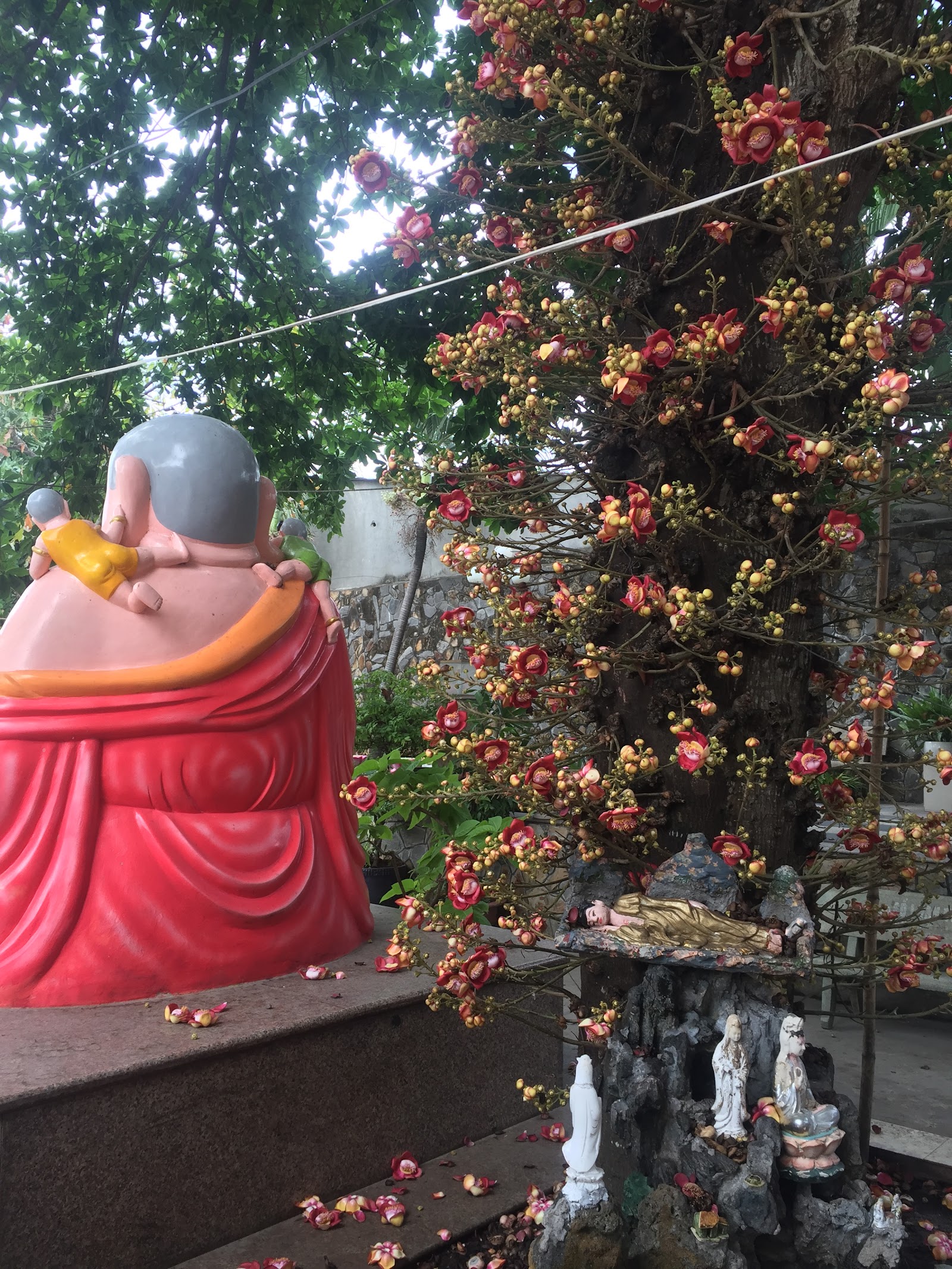 Chùa Thiền Tôn 1