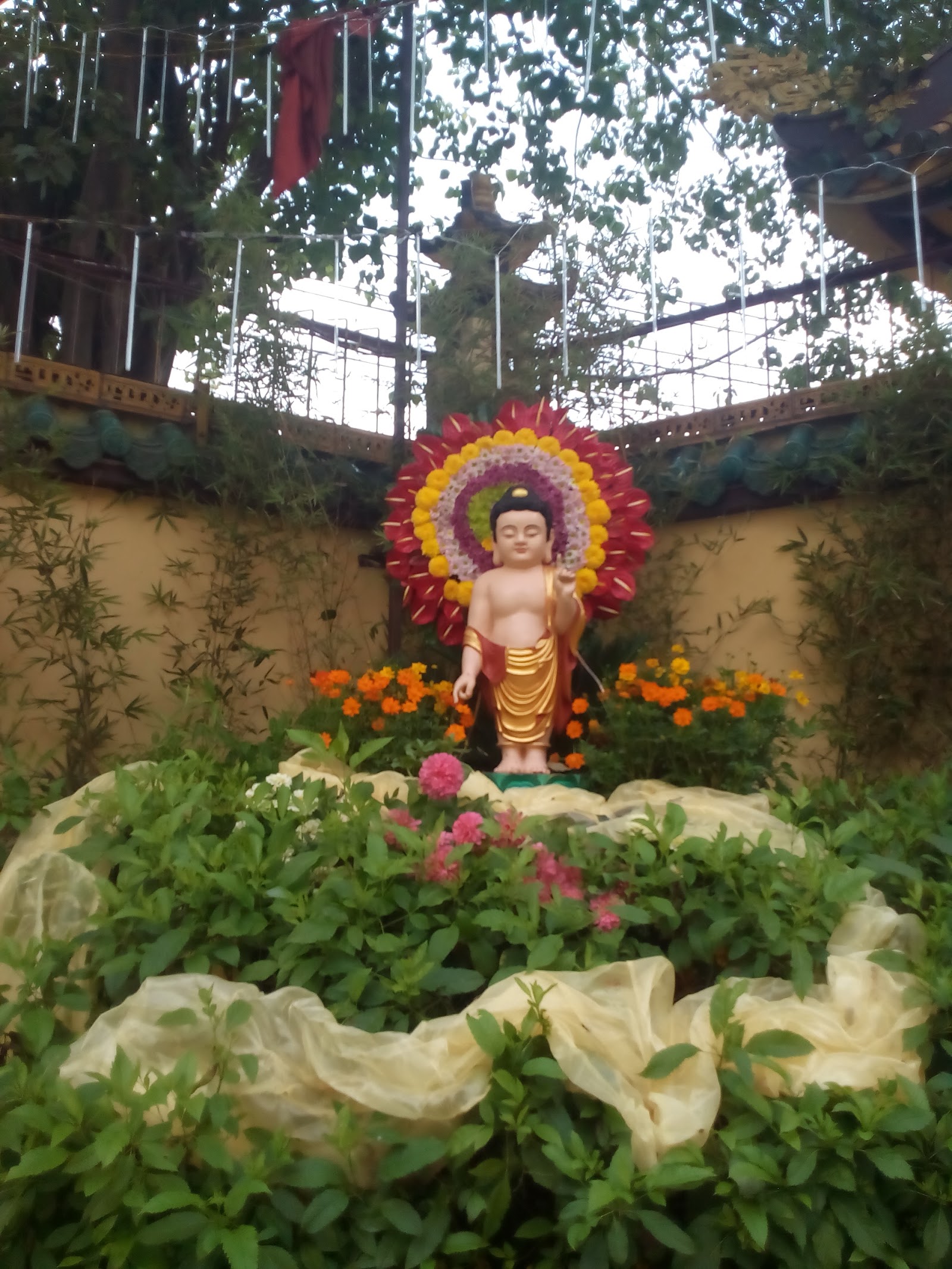 Chùa Từ Quang