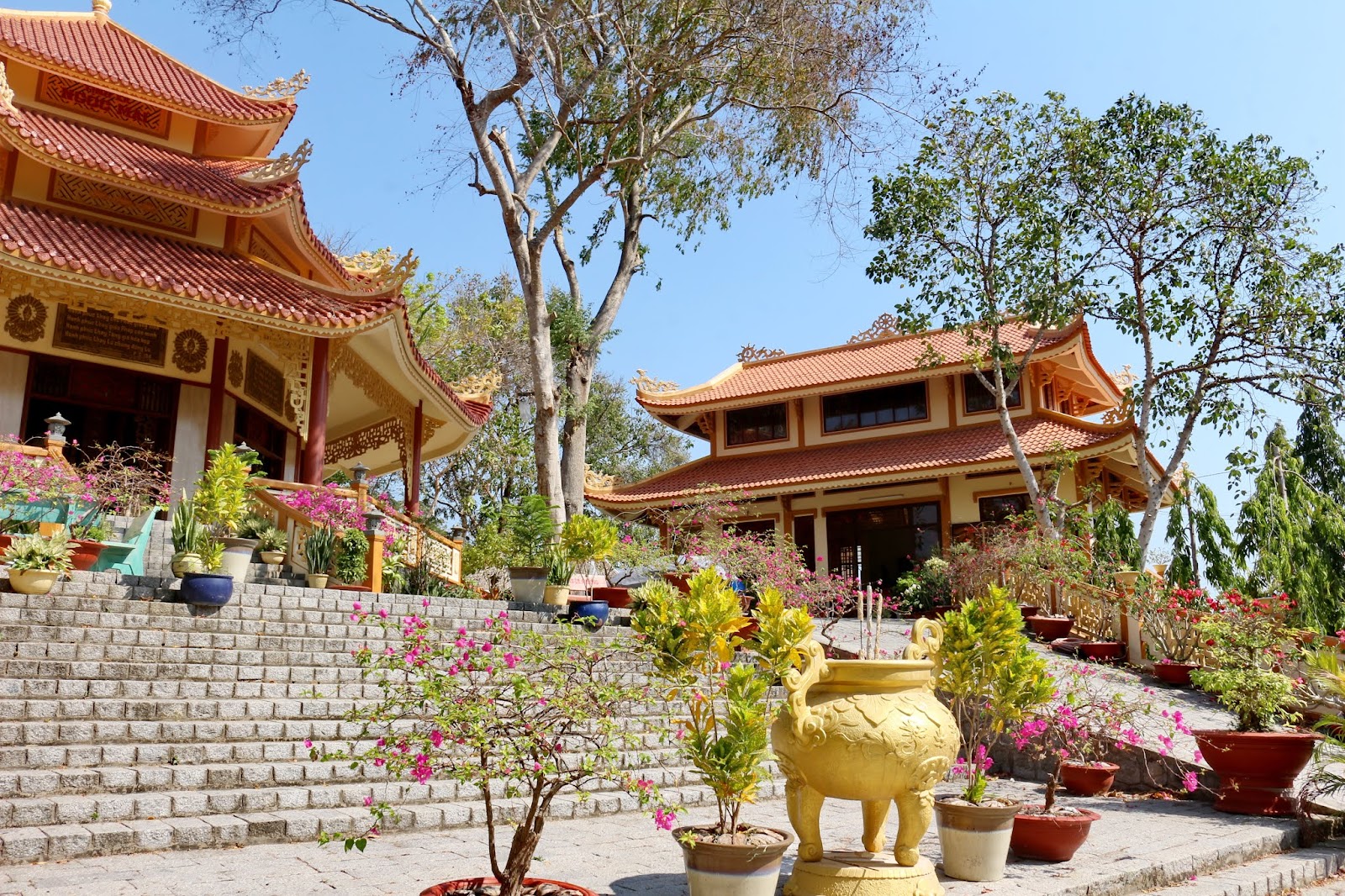 Tịnh Xá Ngọc Mai
