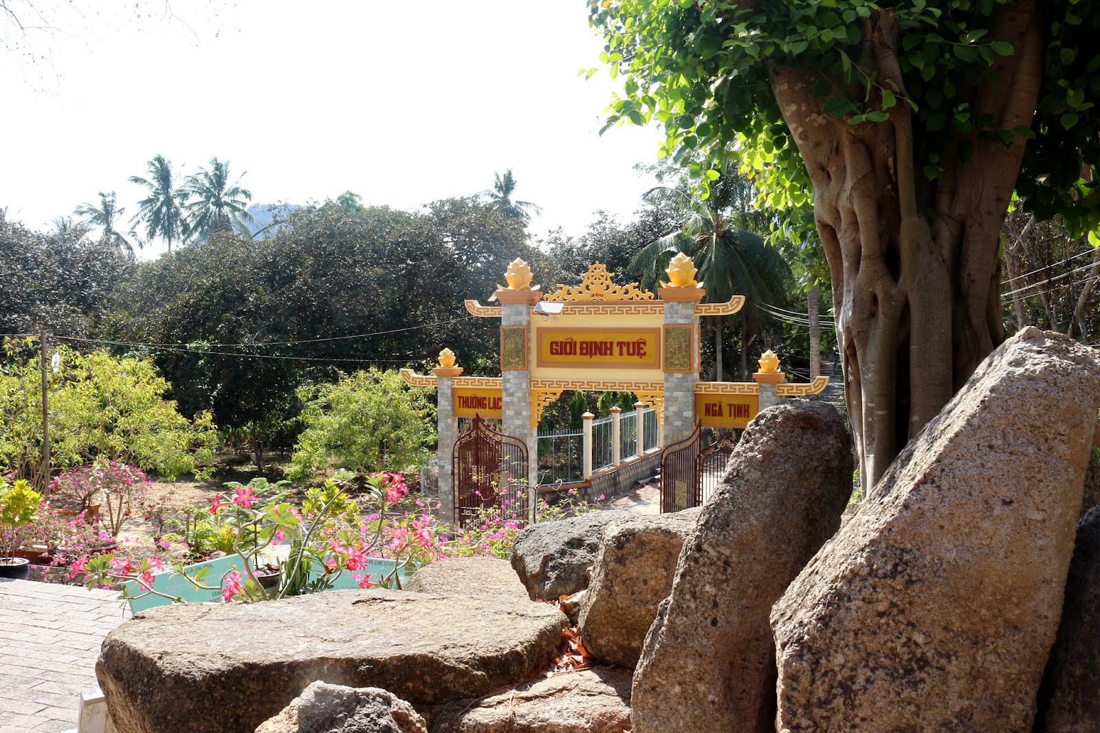 Tịnh Xá Ngọc Mai