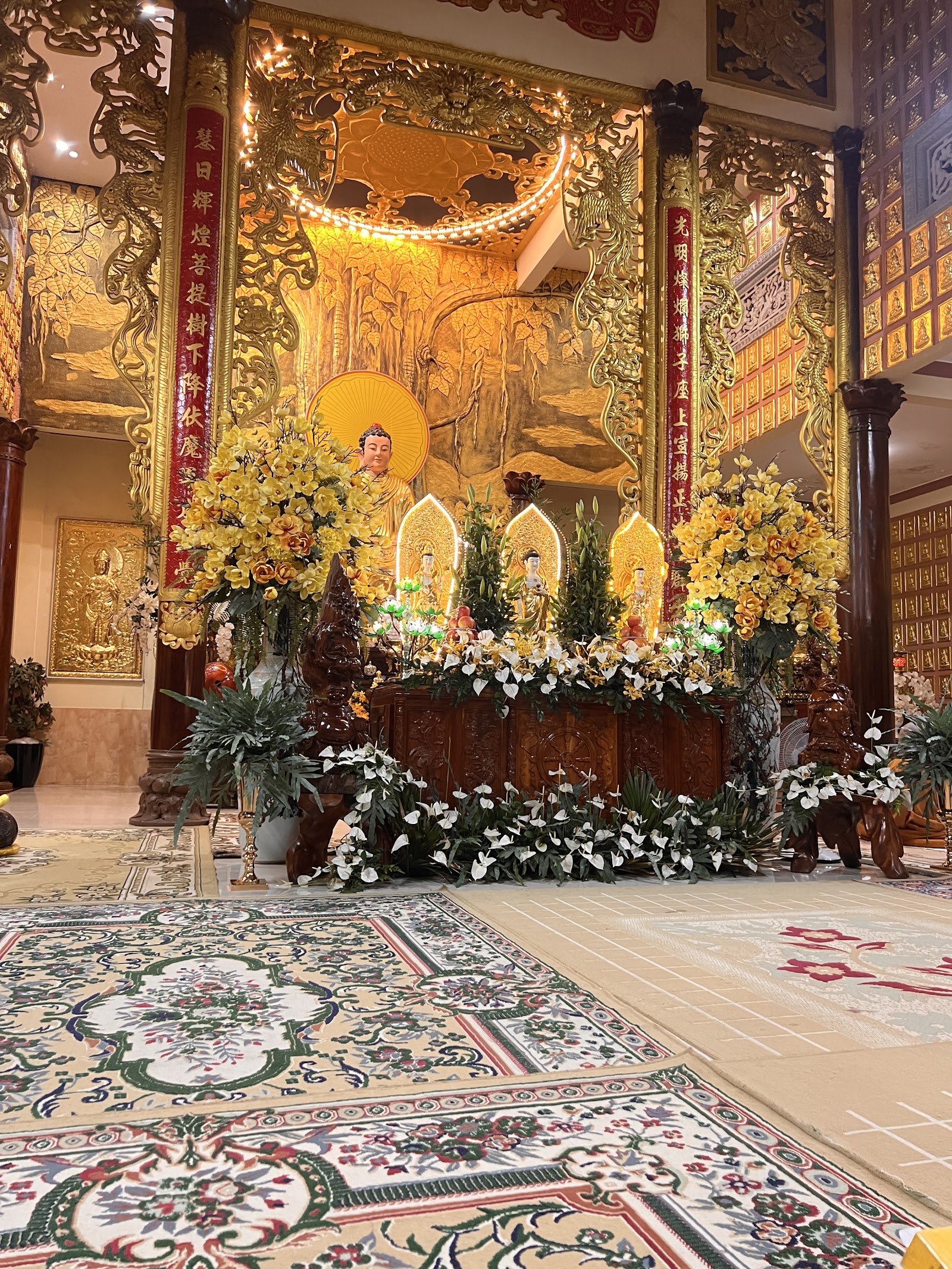Ni Viện Tuệ Quang