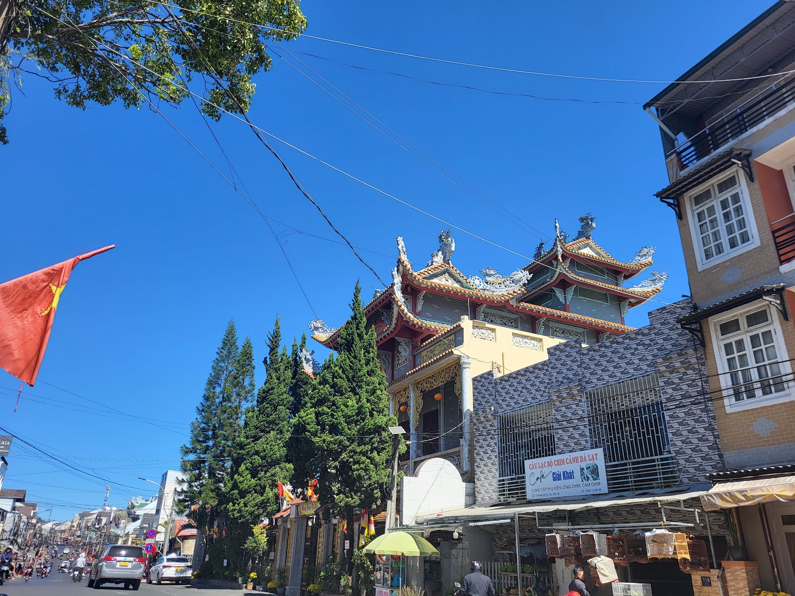 Ni Viện Tuệ Quang
