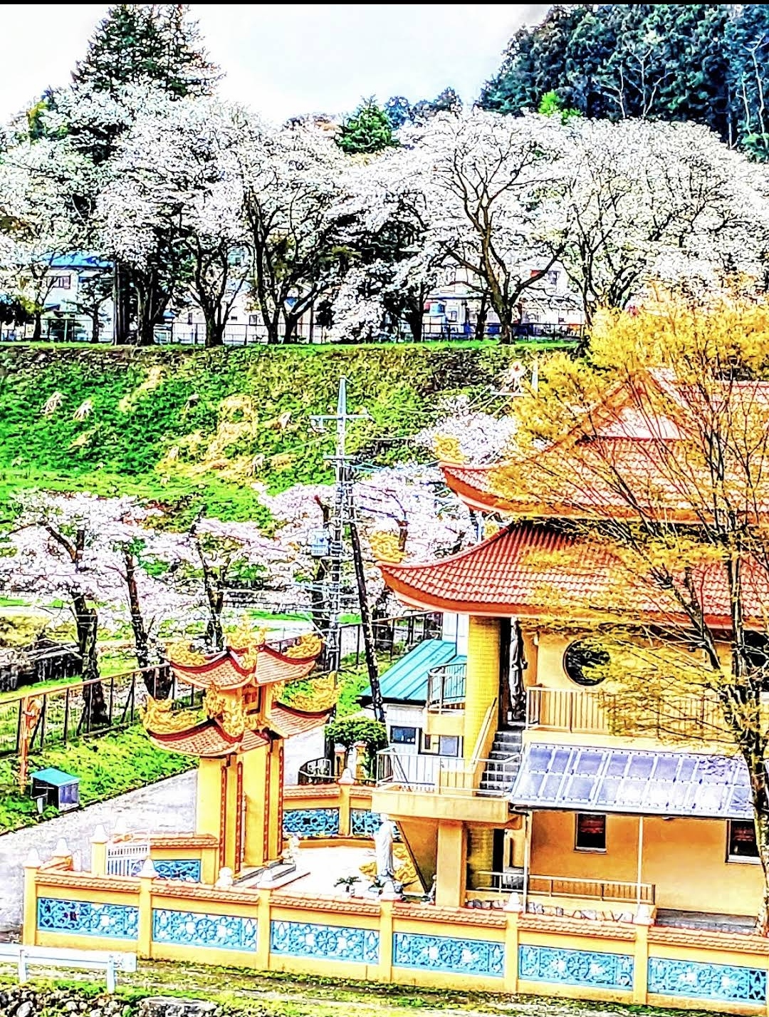 Ni Viện Tuệ Quang