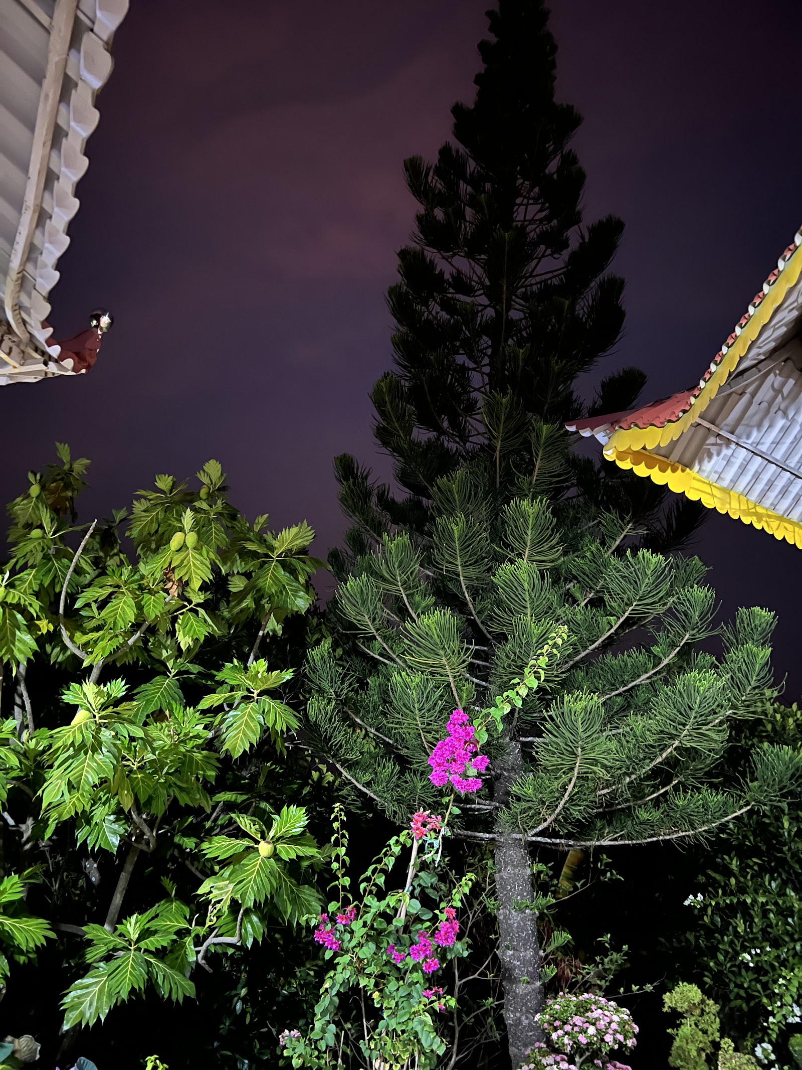 Thiền Môn Nghiêm Tịnh