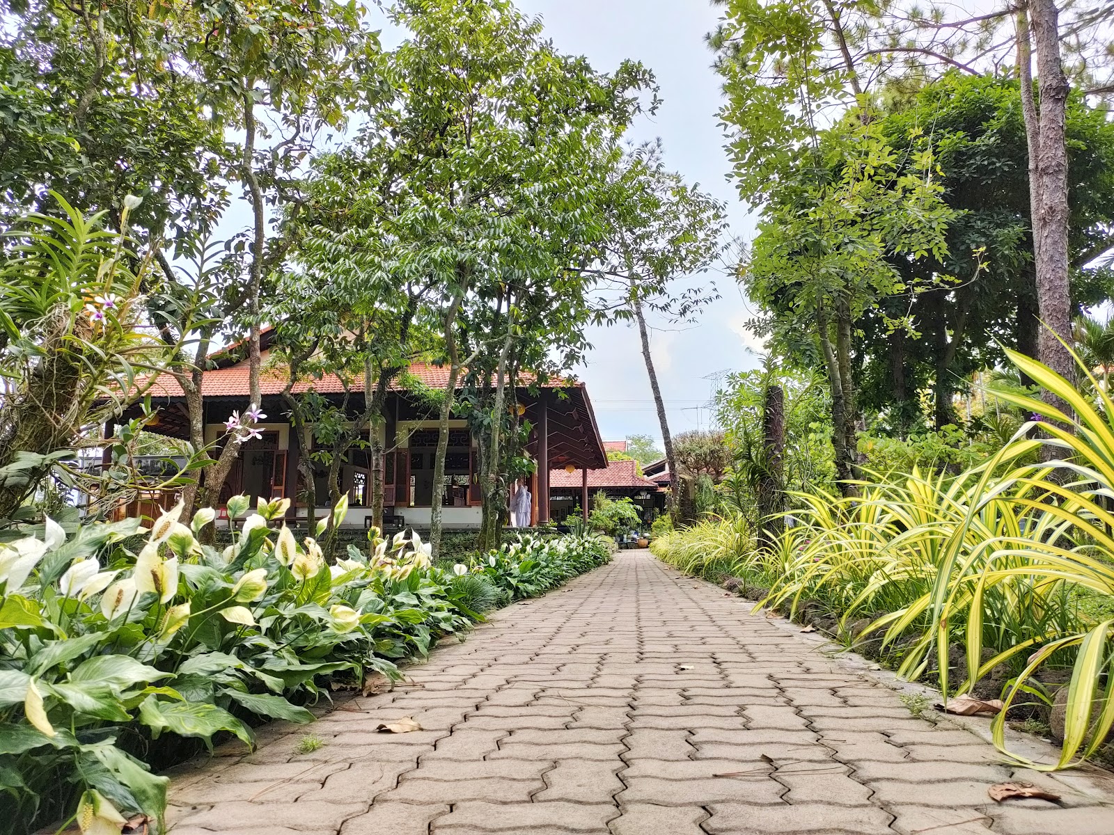 Thiền viện Viên Chiếu