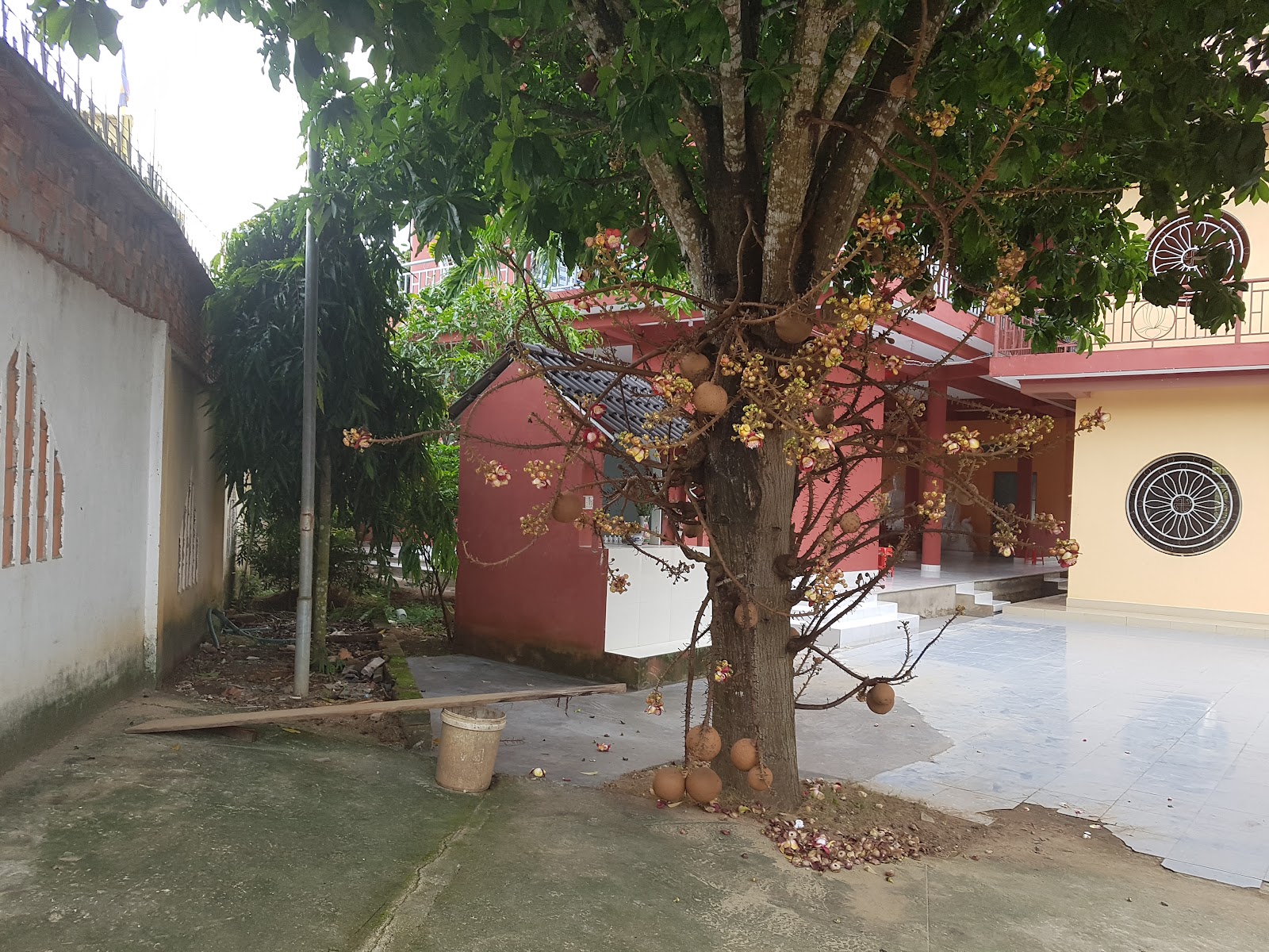 Tịnh Xá Bửu Sơn