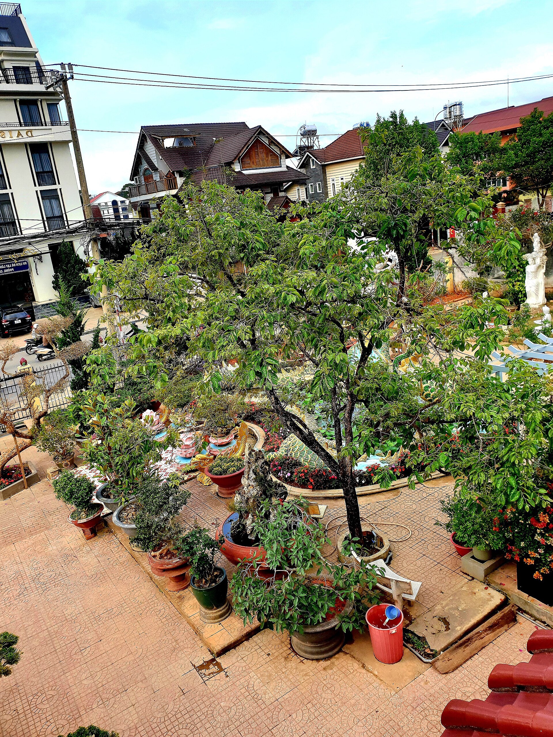 Tịnh xá Ngọc Tín (nhìn từ trên) (3)