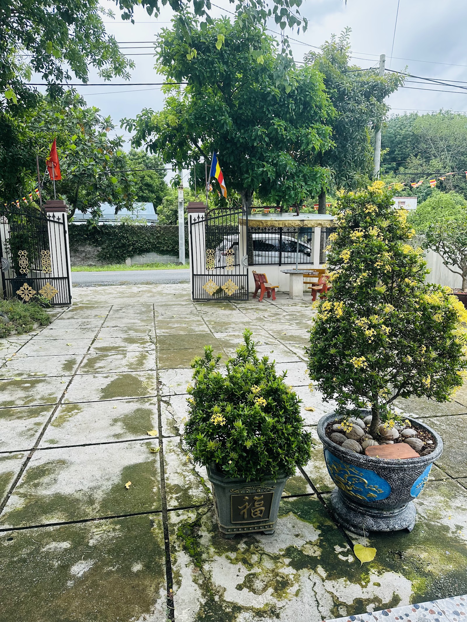 Trúc Lâm Phật Nguyện
