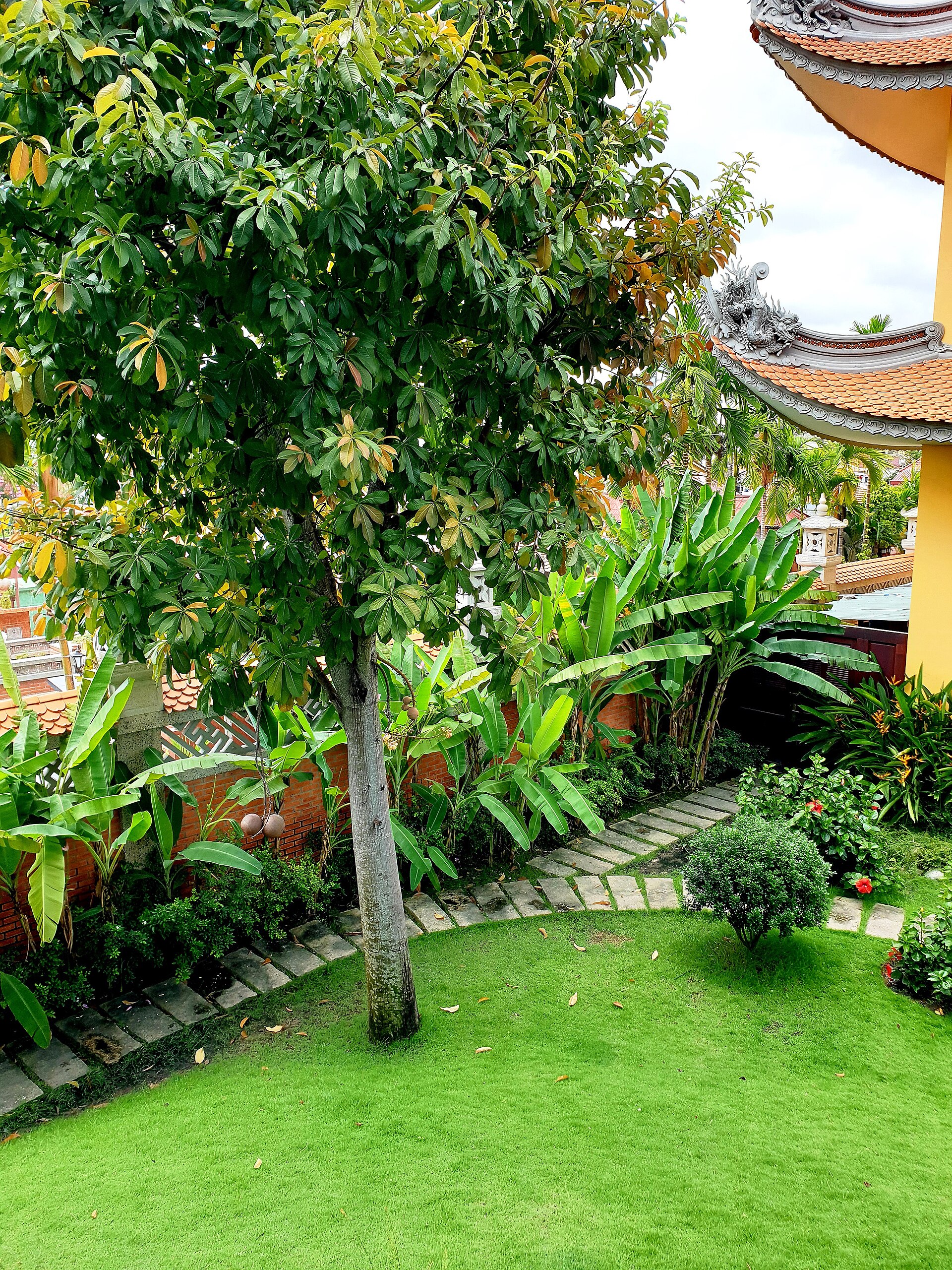 Tu viện Vĩnh Nghiêm, cảnh (cảnh vườn hậu viện) (5)